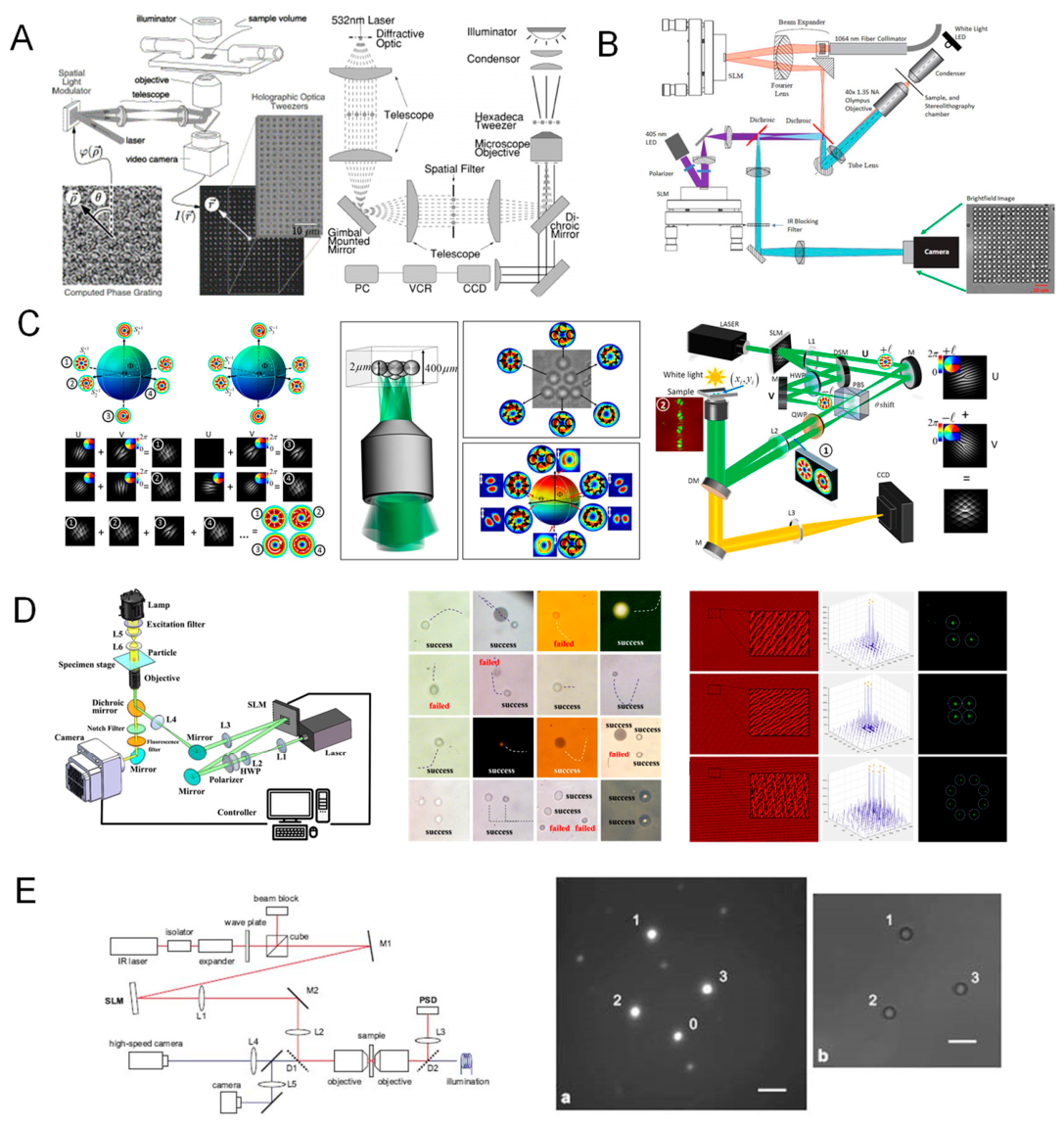 Preprints 225068 g017