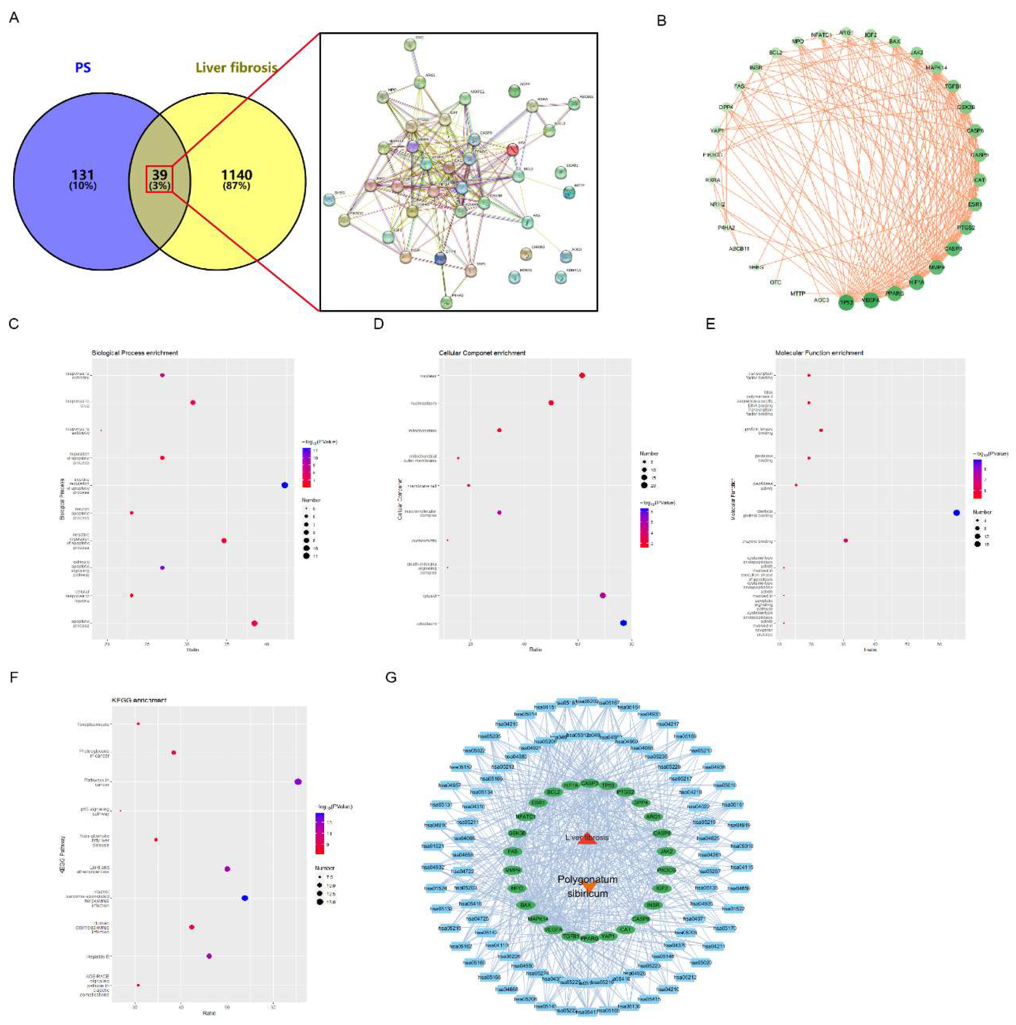 Preprints 139472 g001