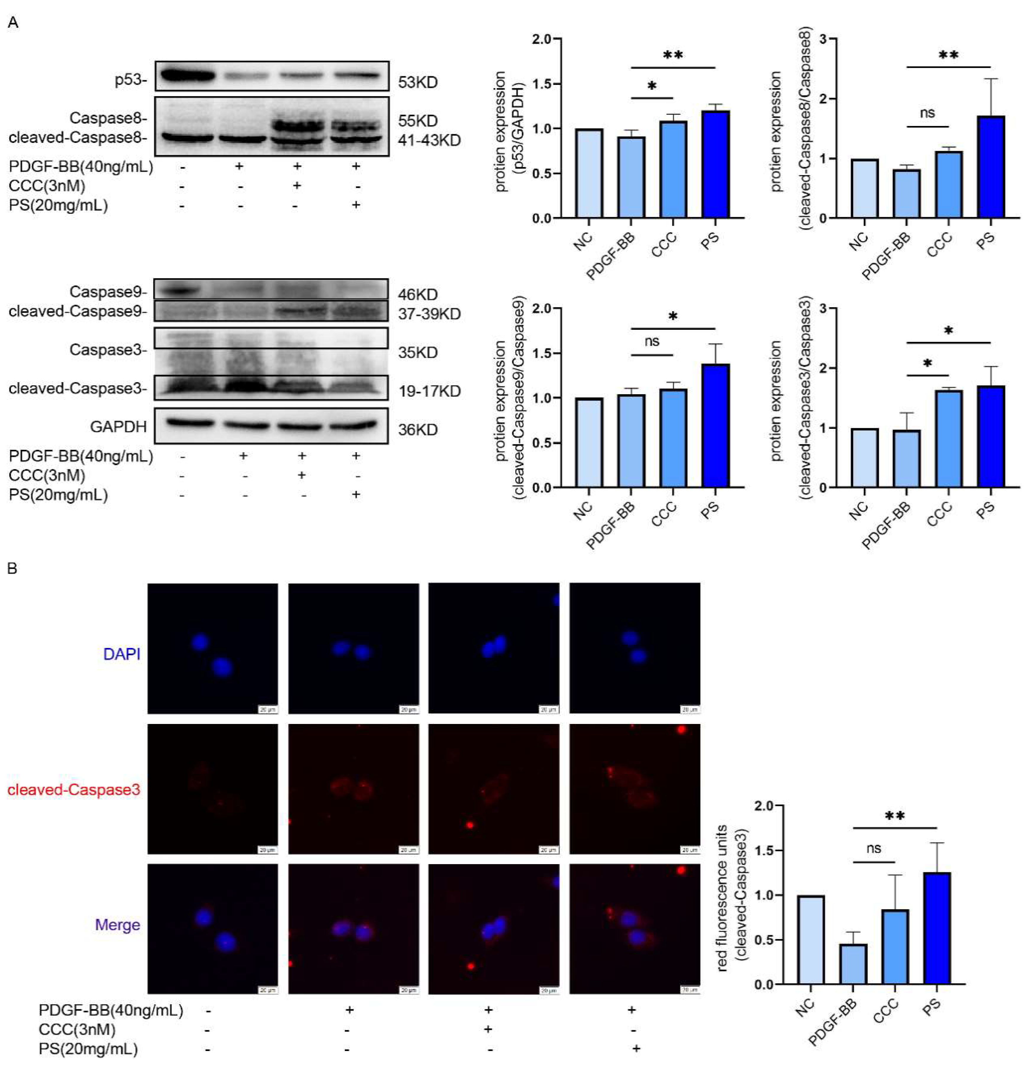 Preprints 139472 g005