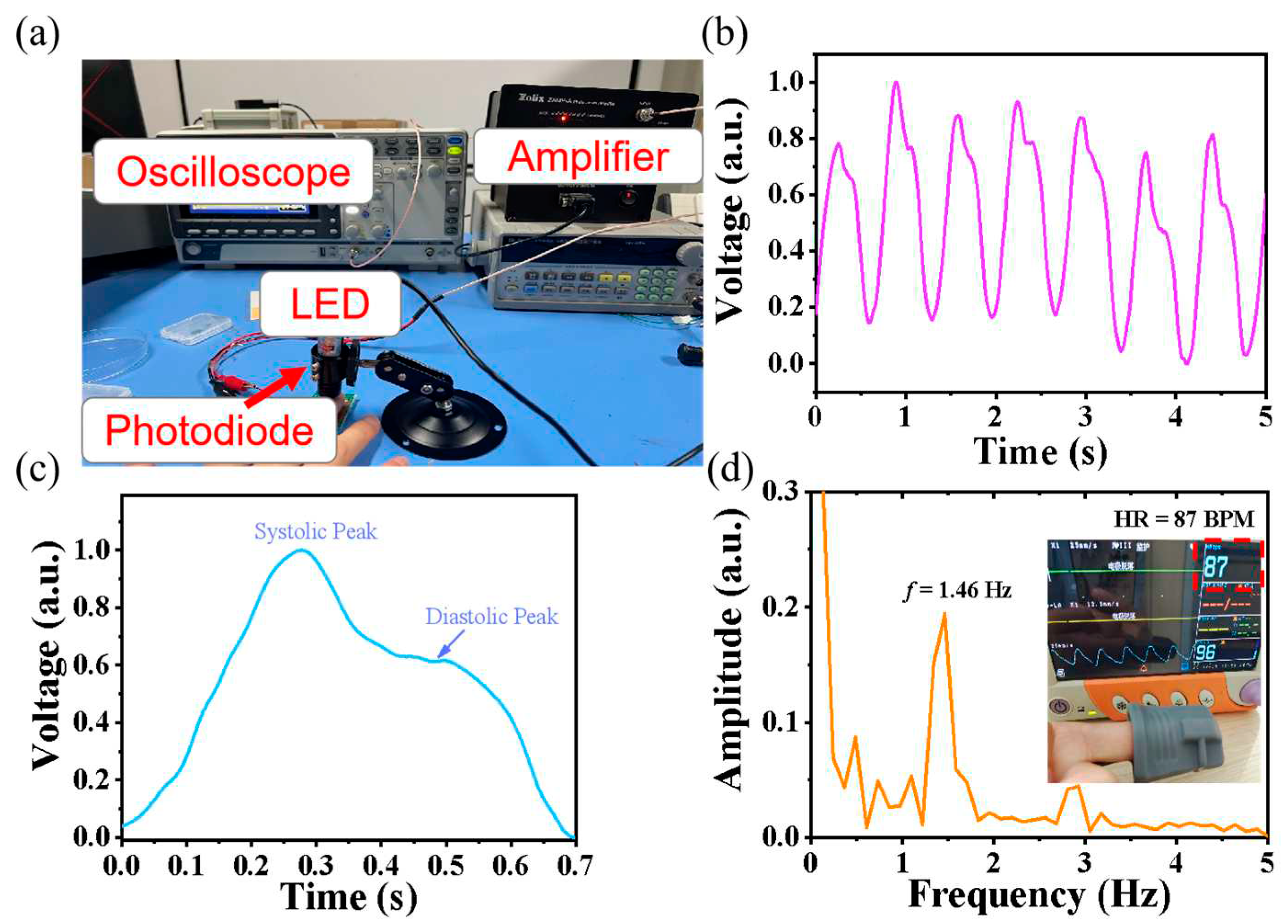 Preprints 78770 g006