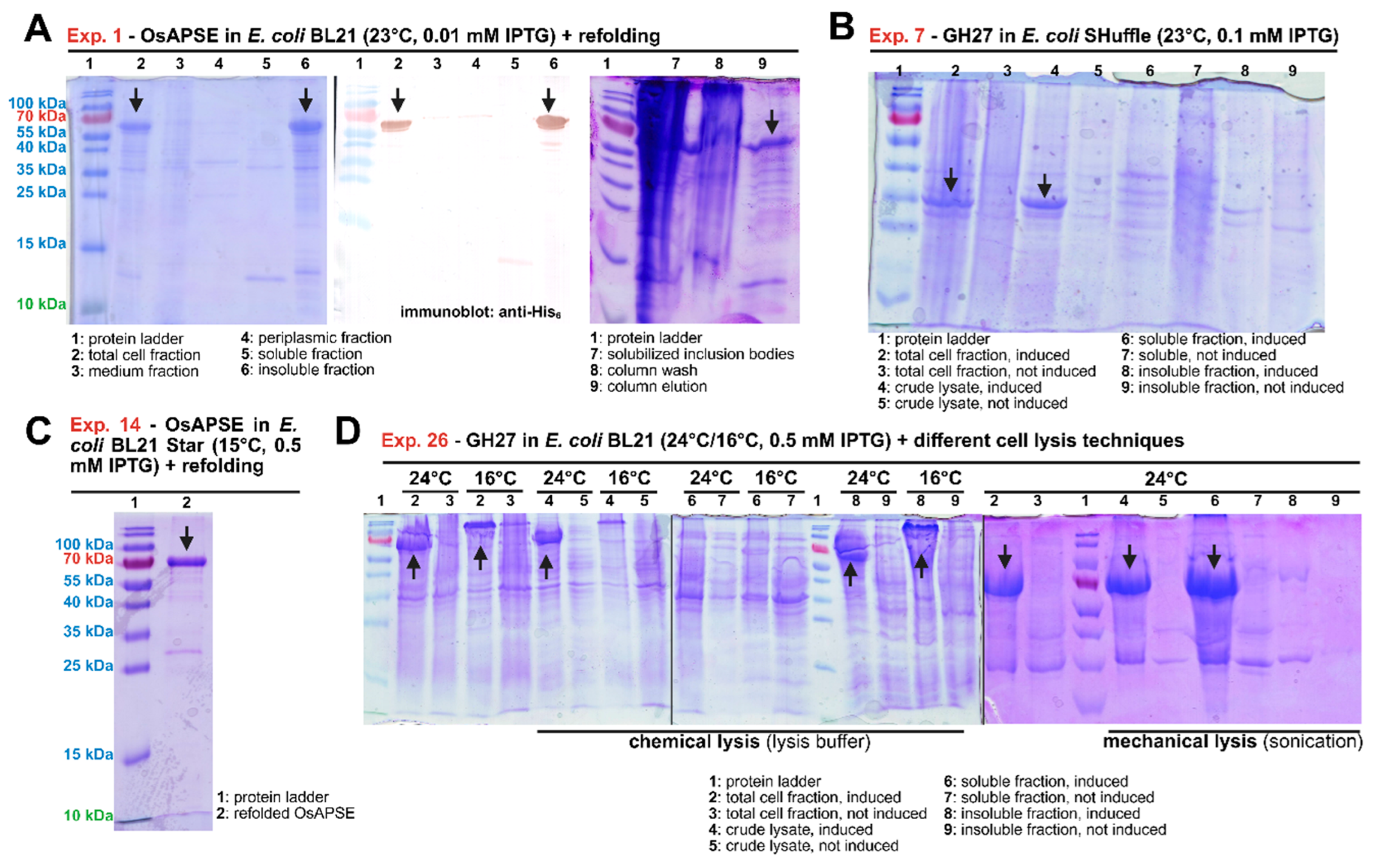 Preprints 173011 g002