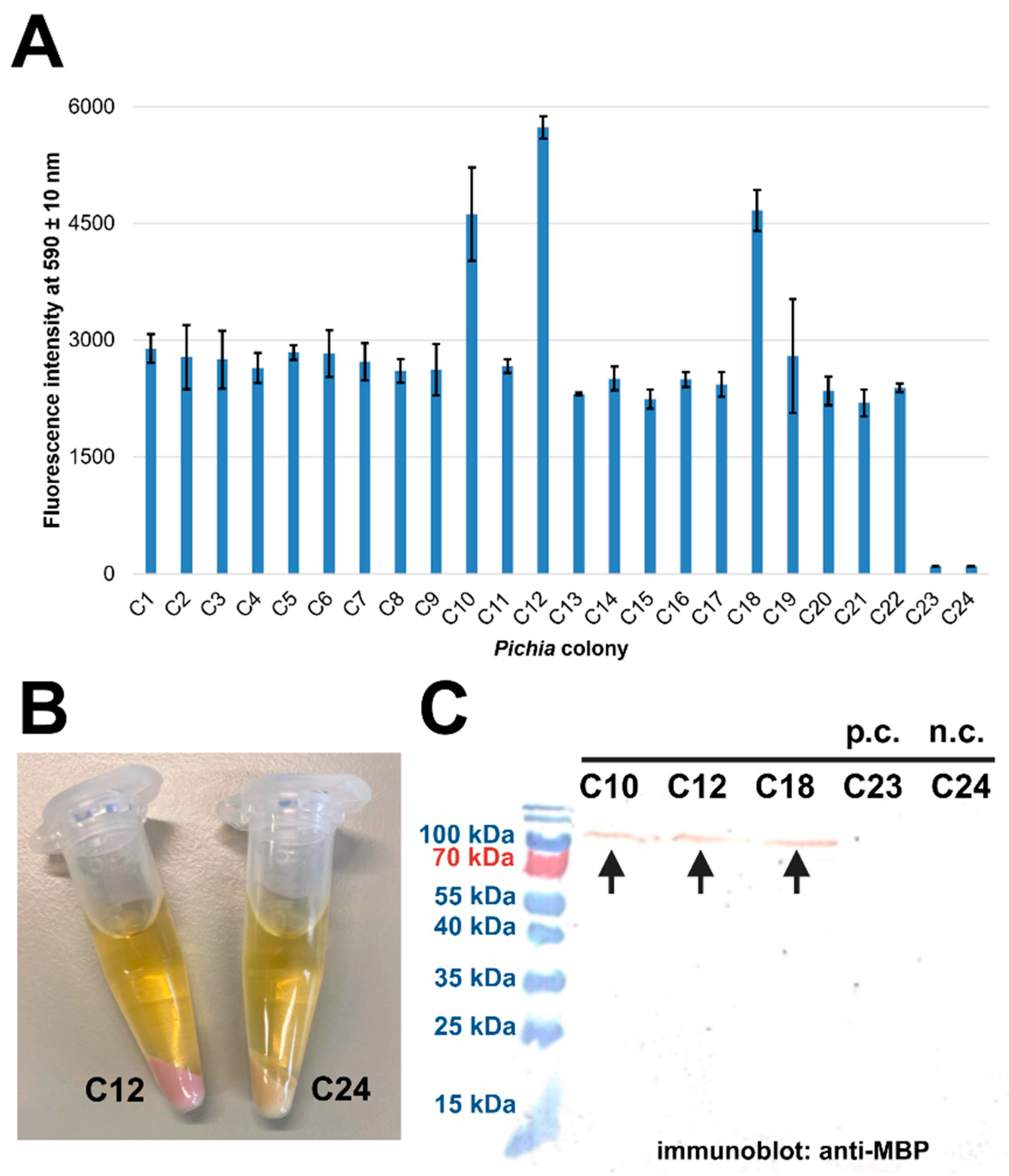Preprints 173011 g004