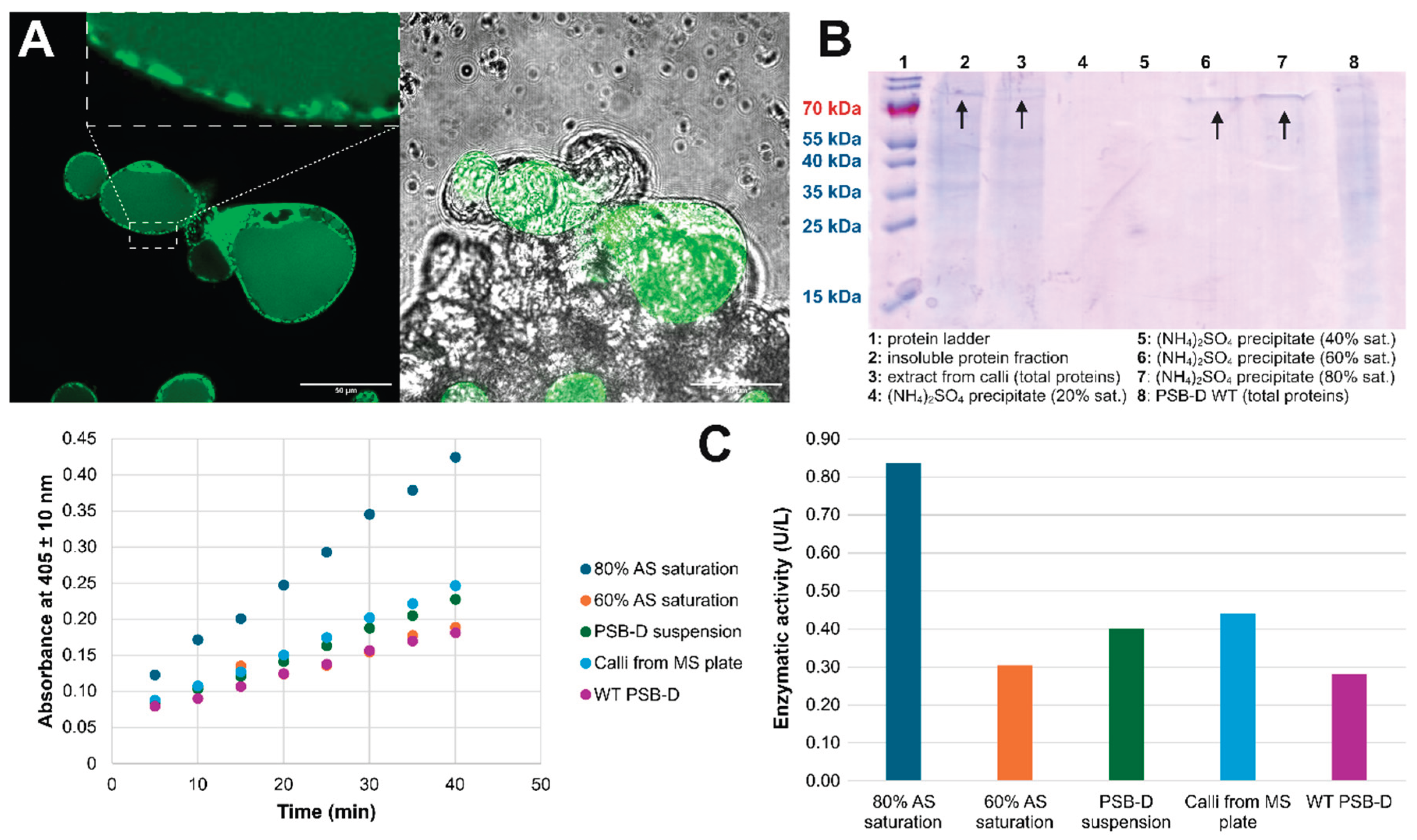 Preprints 173011 g005