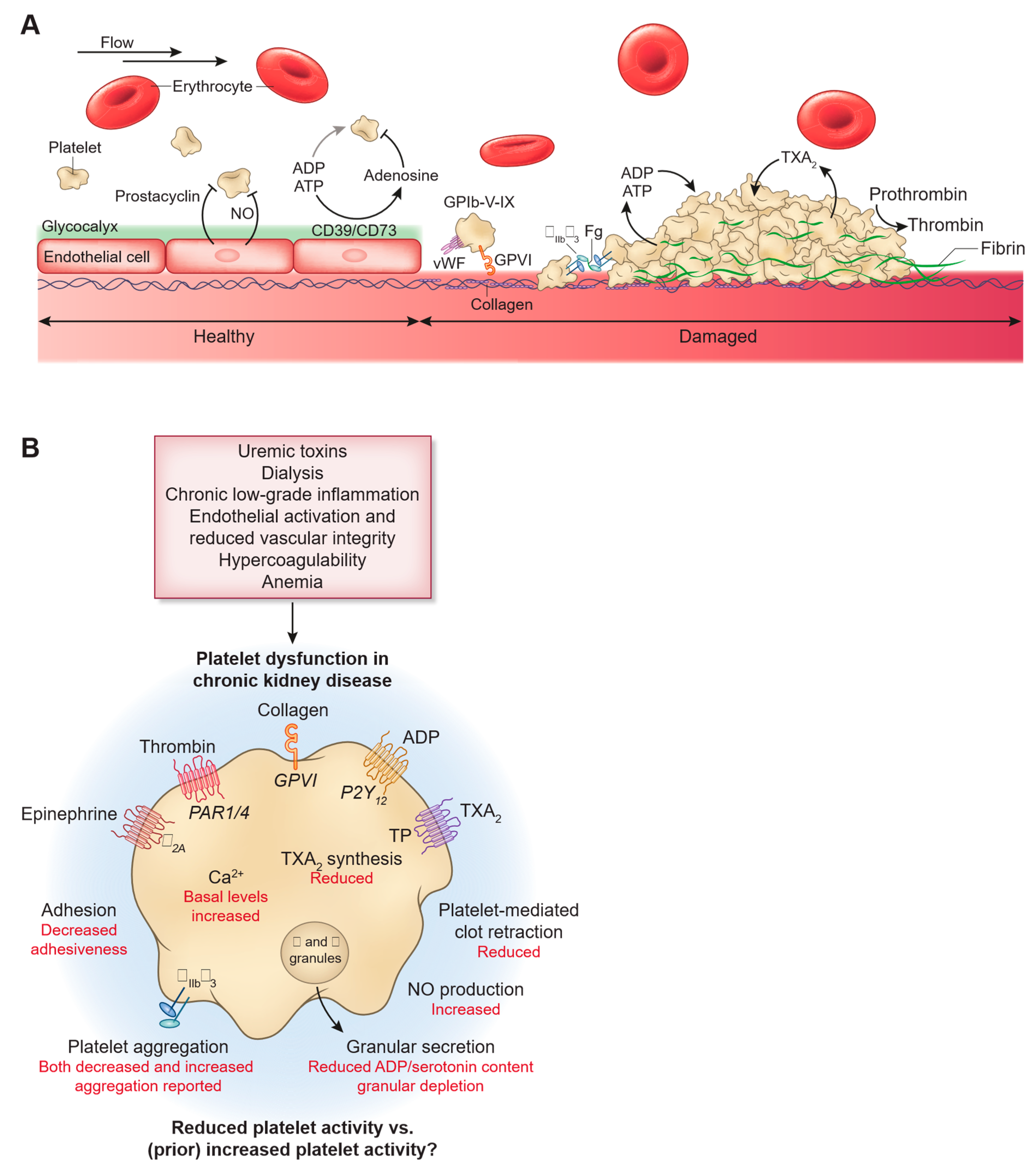 Preprints 157380 g001