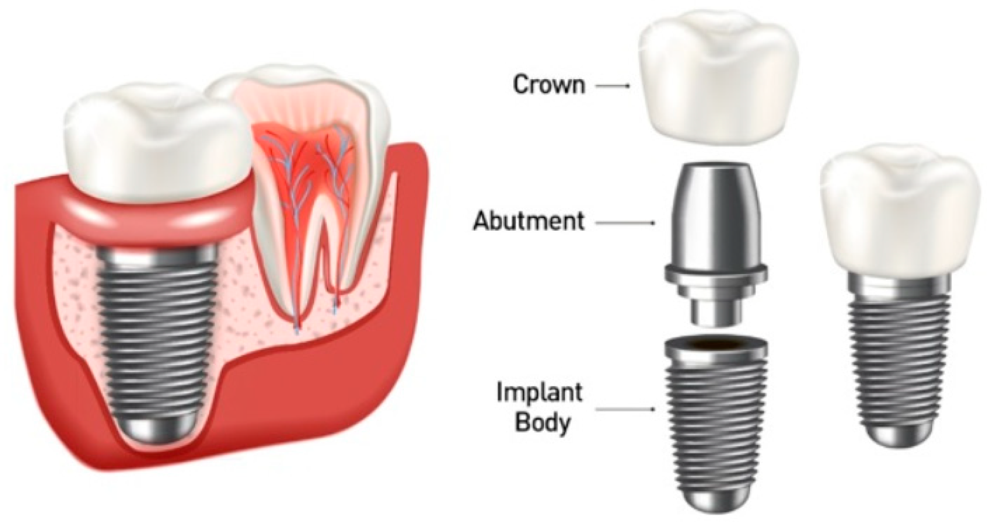 Preprints 139293 g001