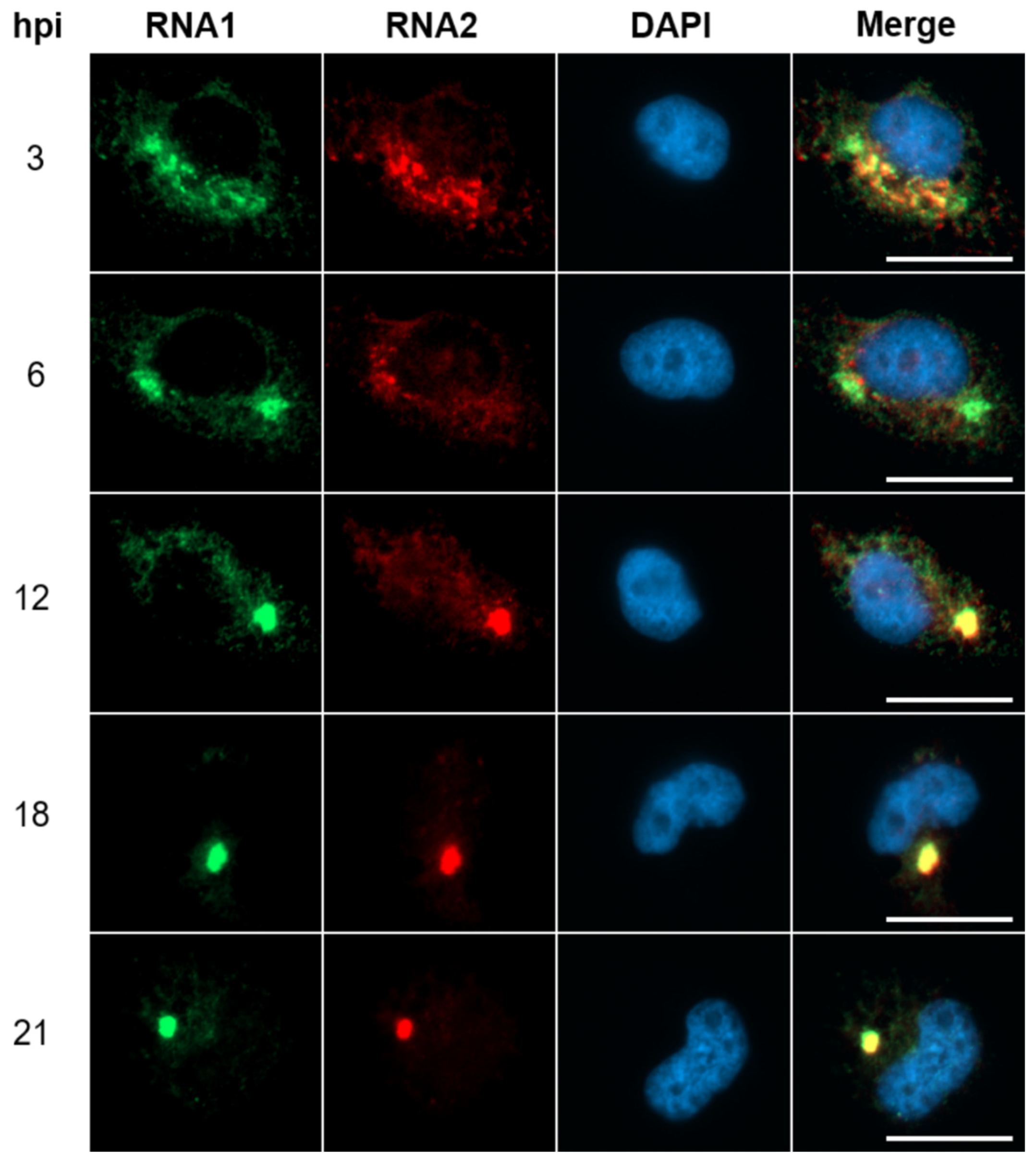 Preprints 194969 g002