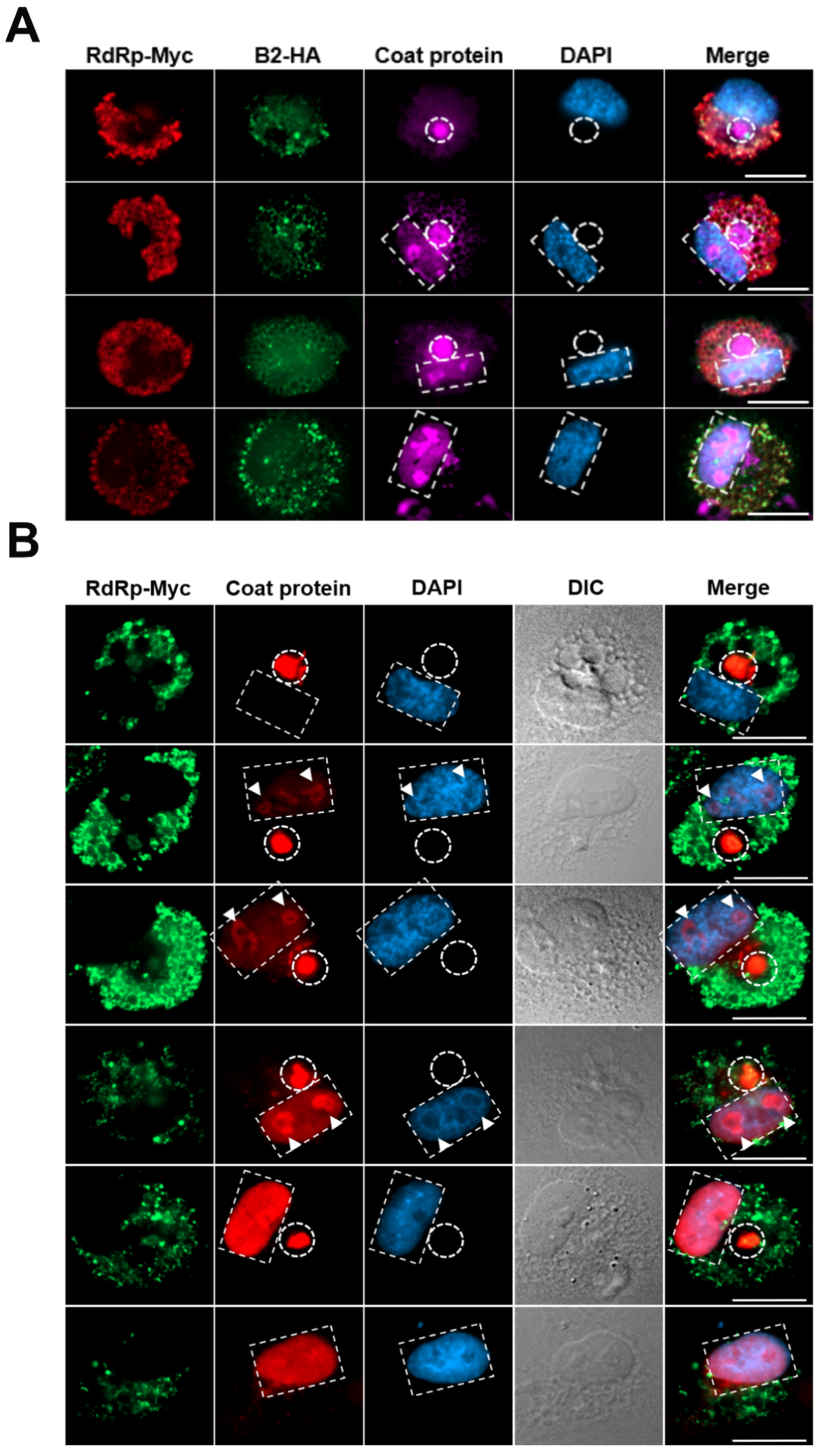 Preprints 194969 g004