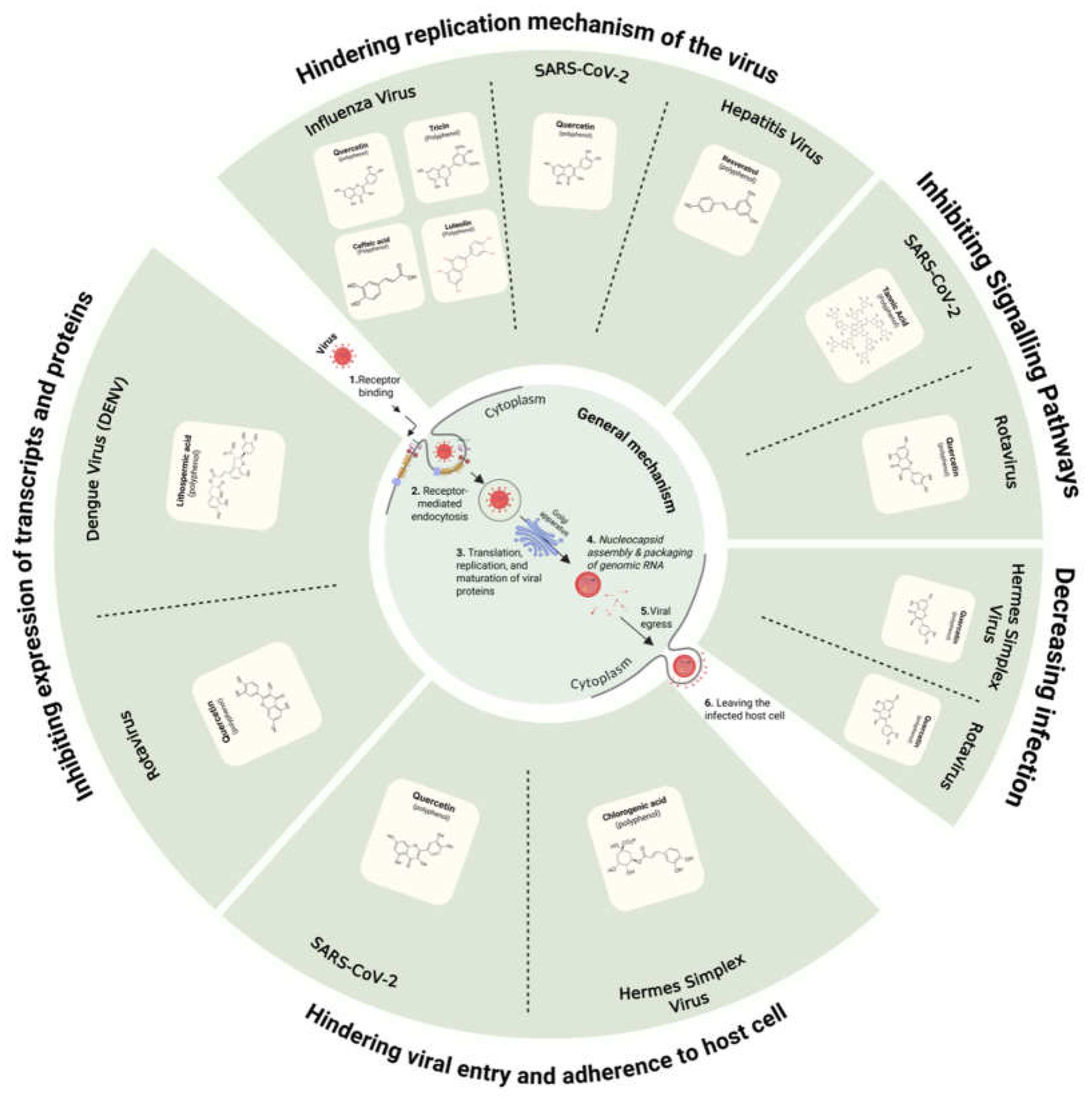 Preprints 158060 g002