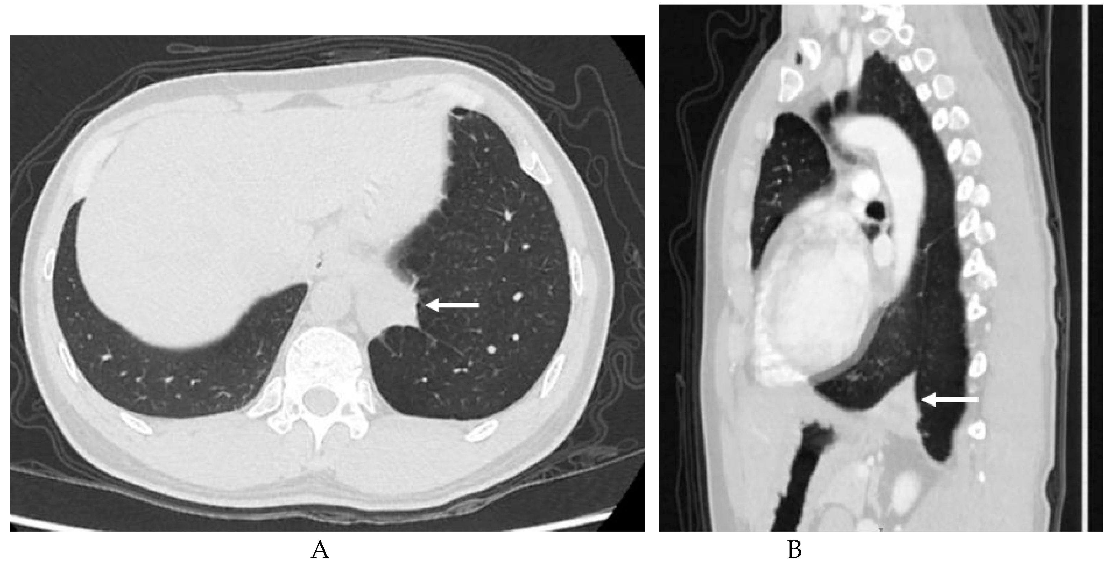 Preprints 76459 g001a