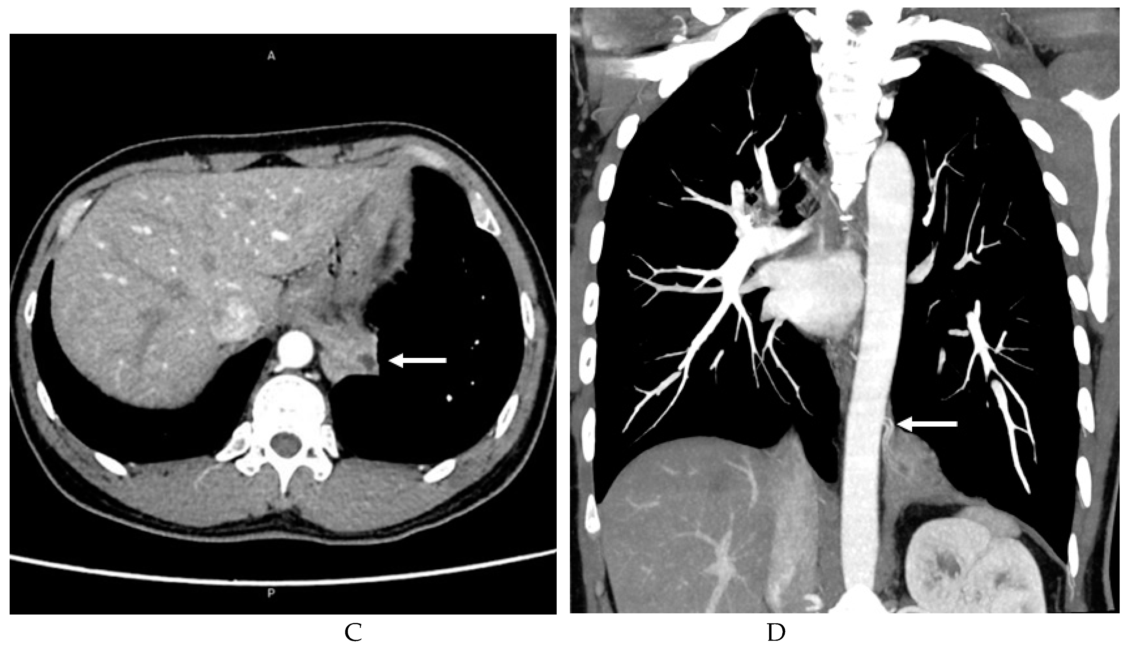 Preprints 76459 g001b