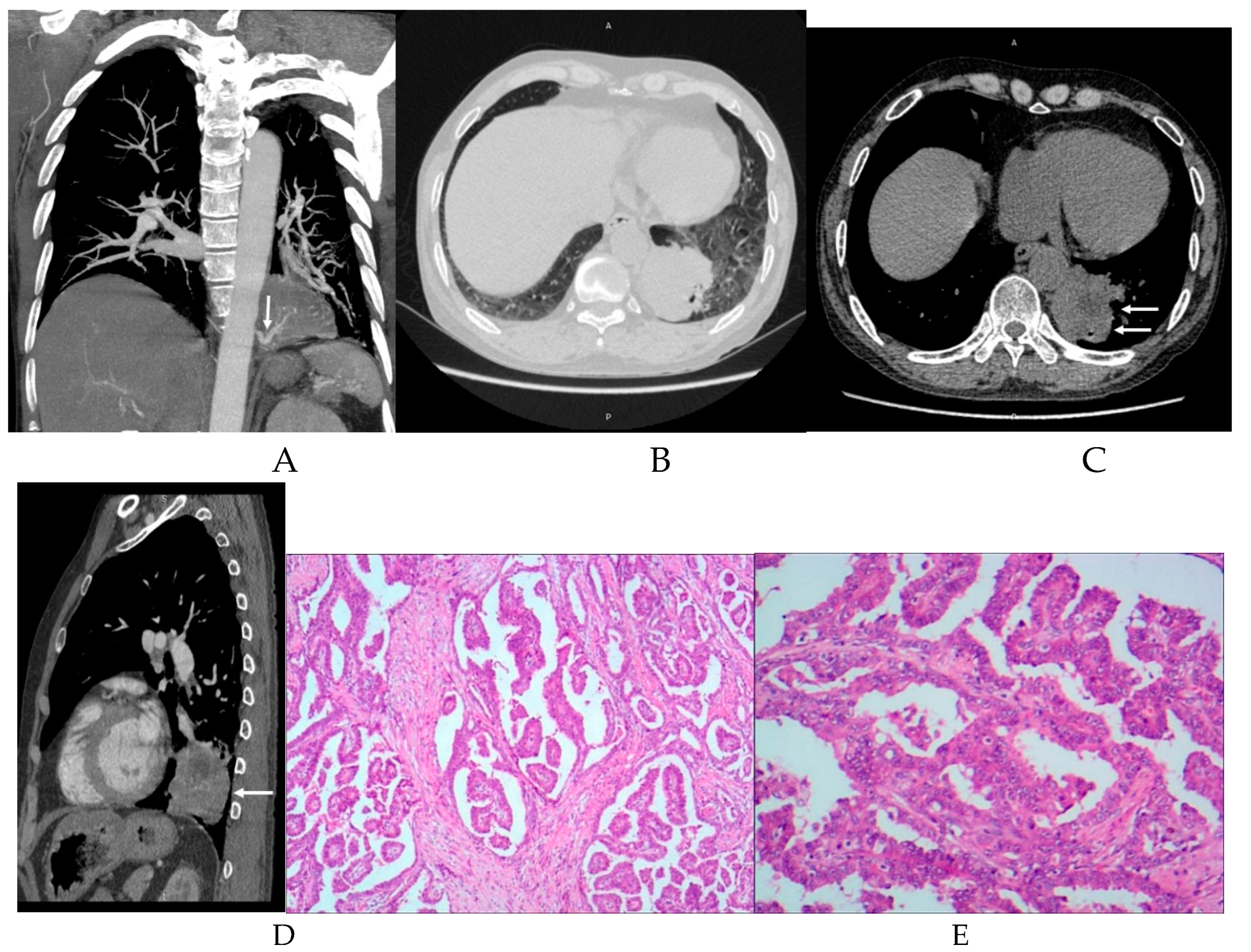 Preprints 76459 g002