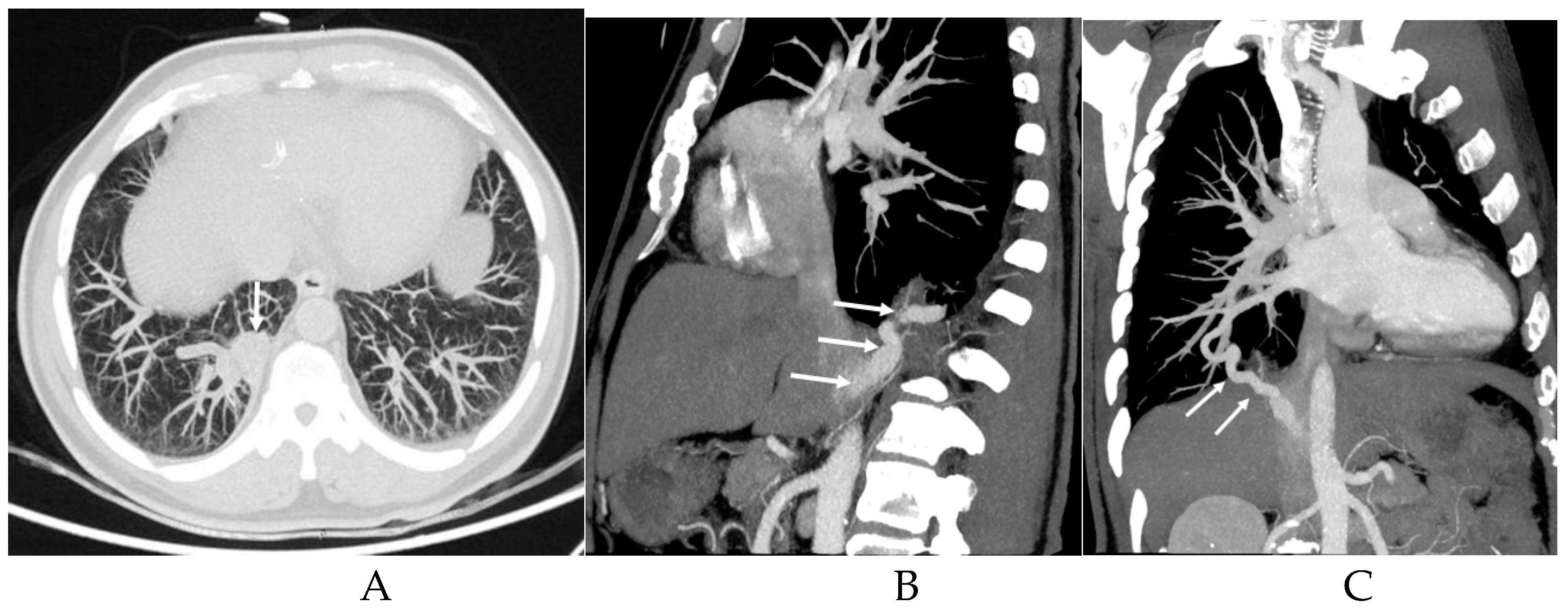 Preprints 76459 g003