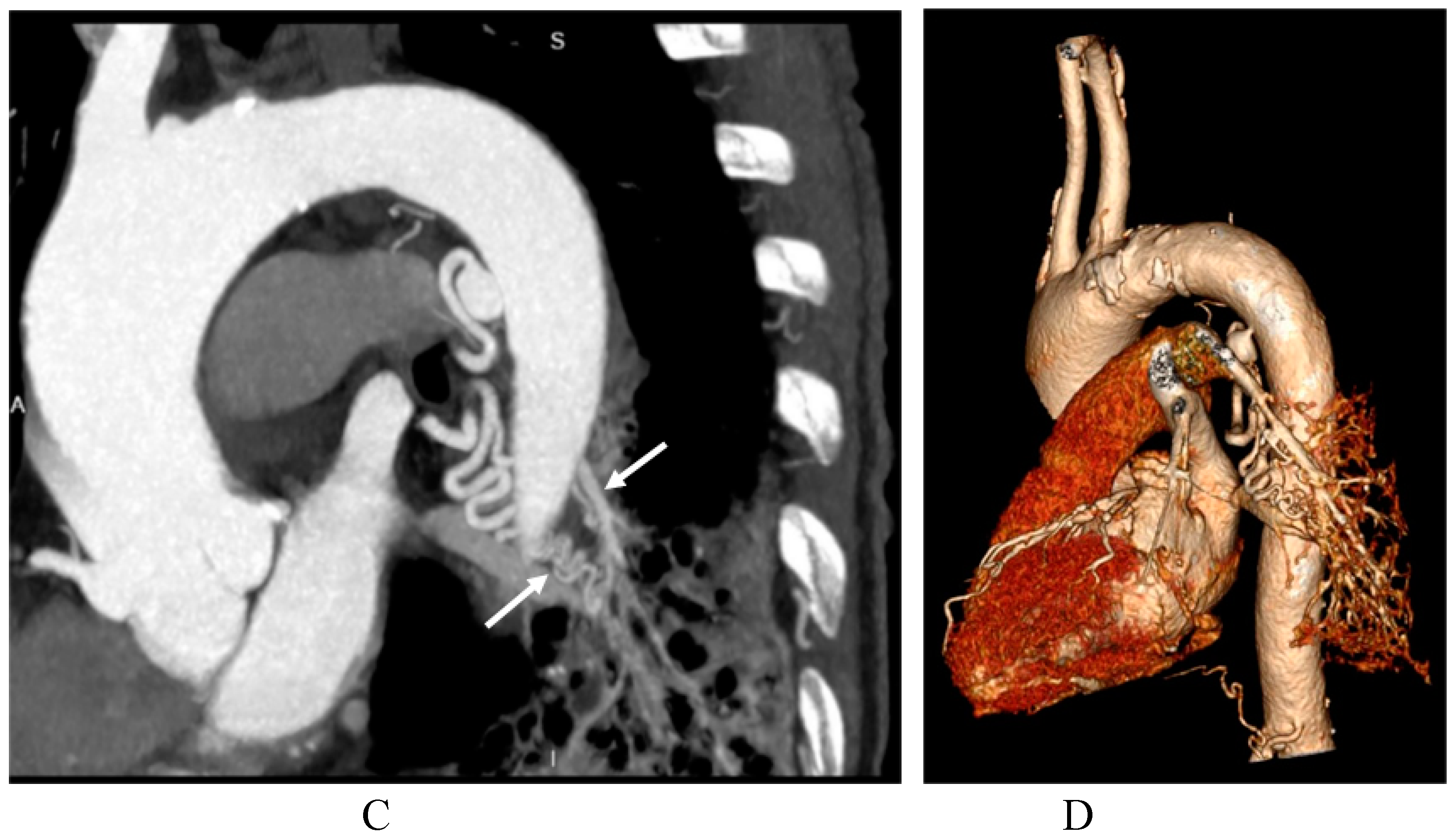 Preprints 76459 g004b