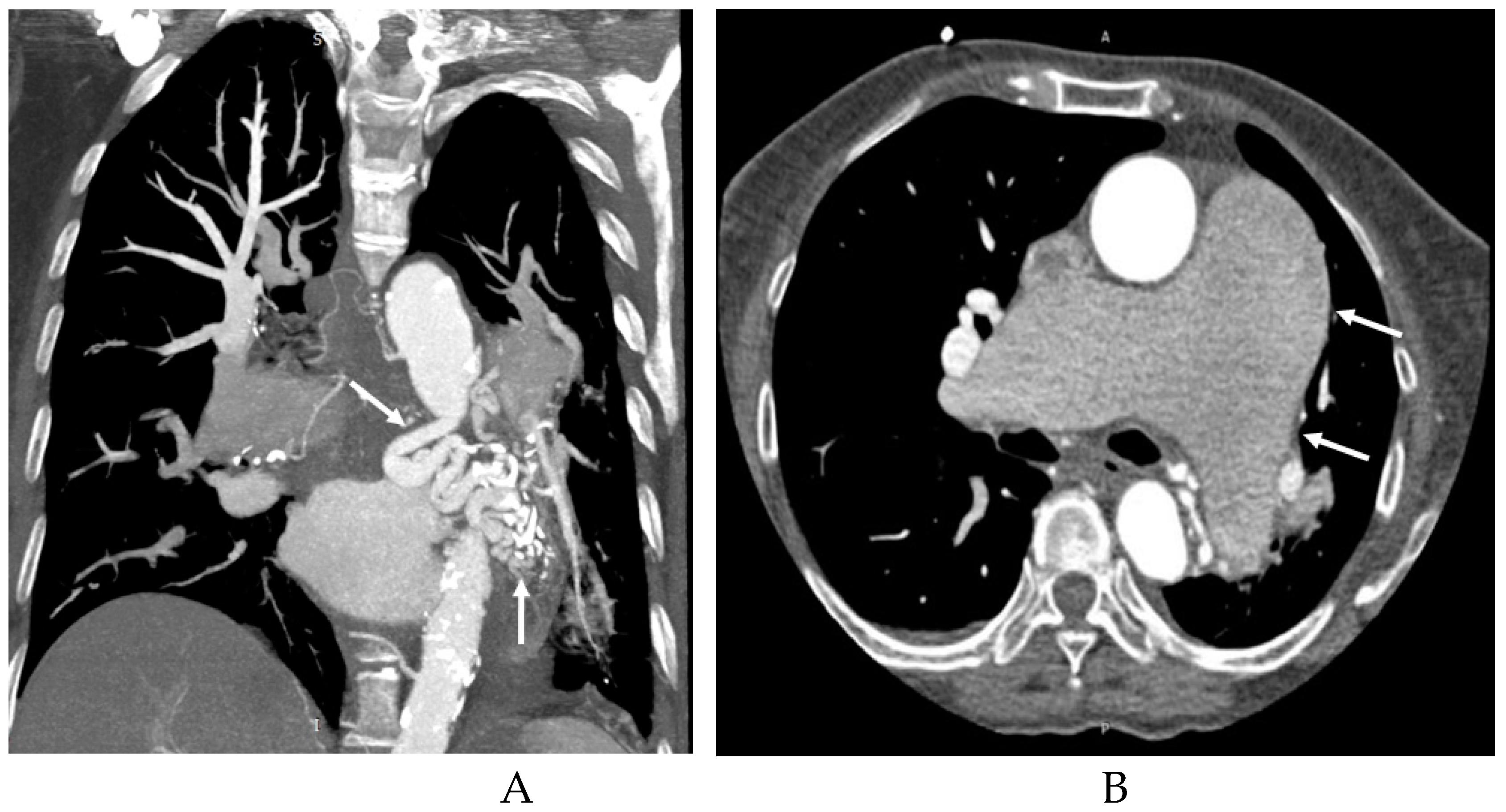 Preprints 76459 g005a