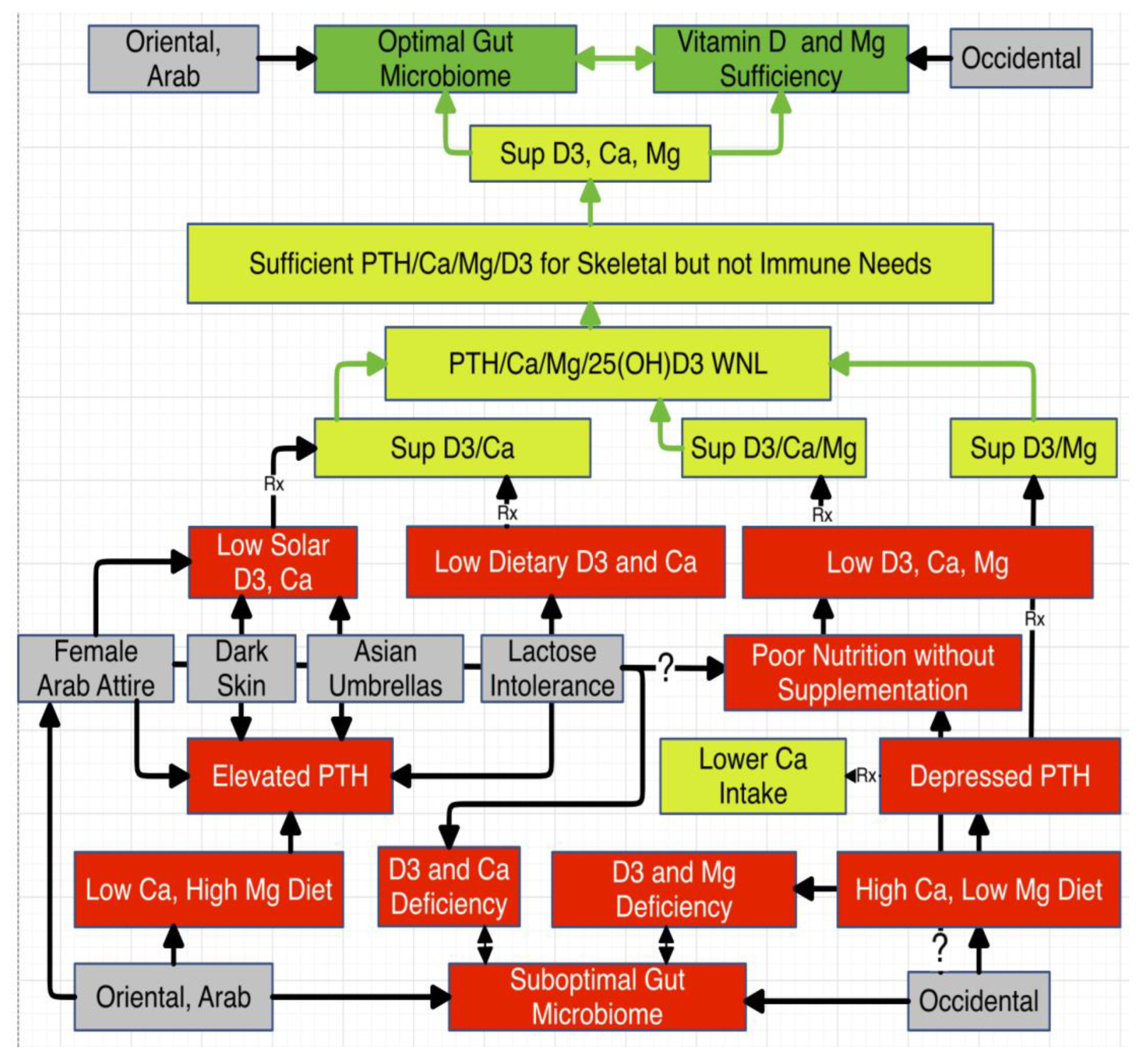 Preprints 145658 g004