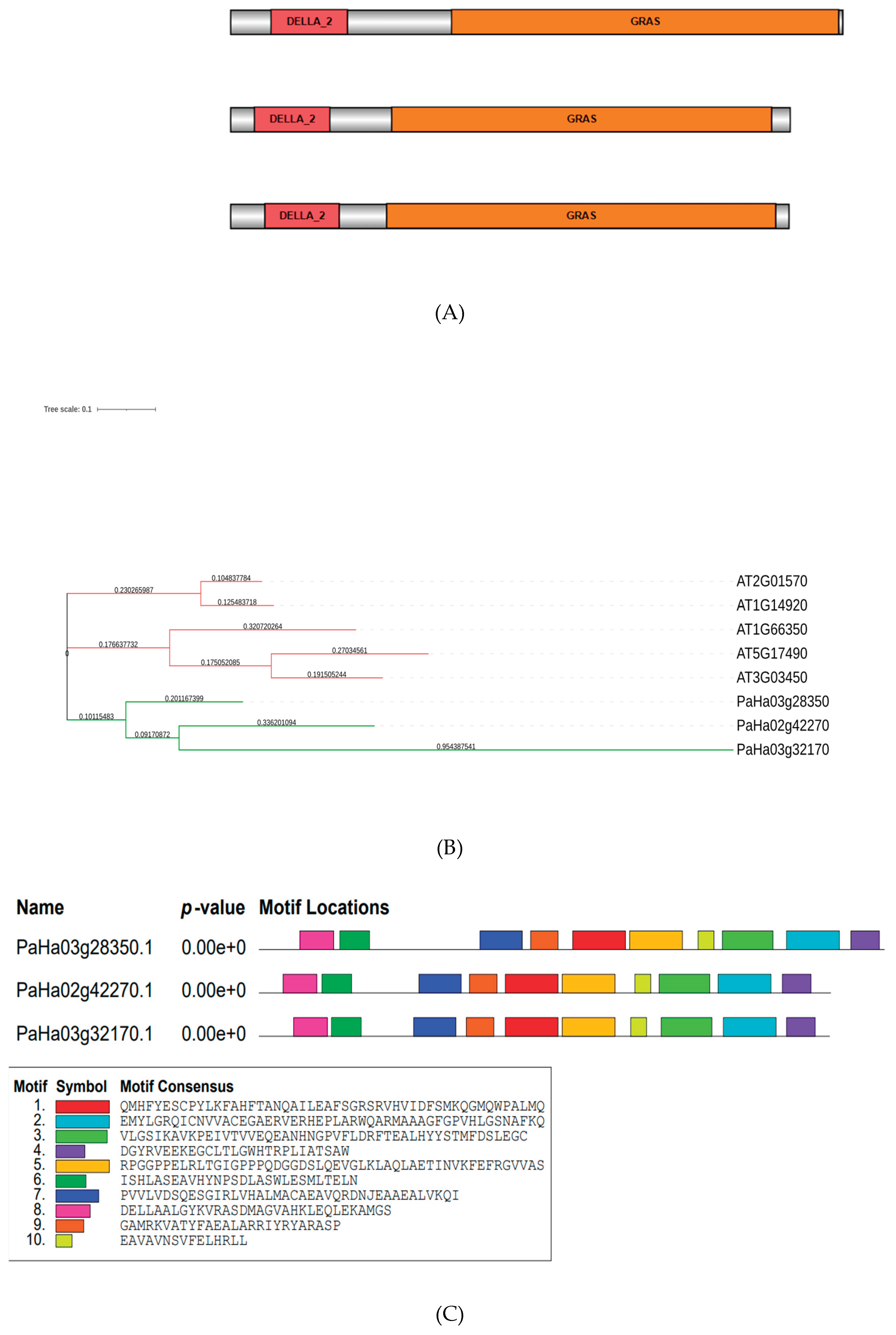 Preprints 222146 g001a Preprints 222146 g001a