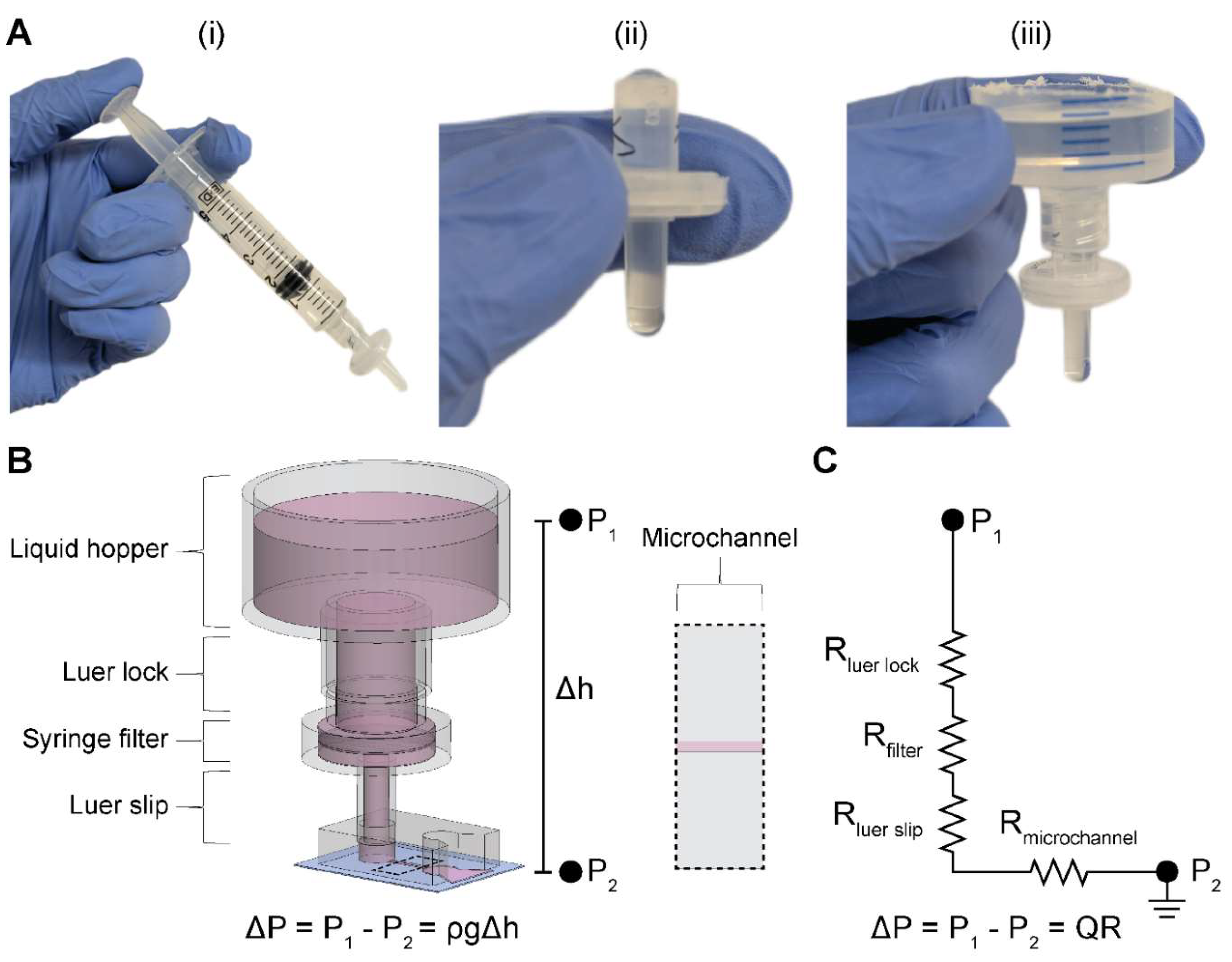Preprints 148536 g001