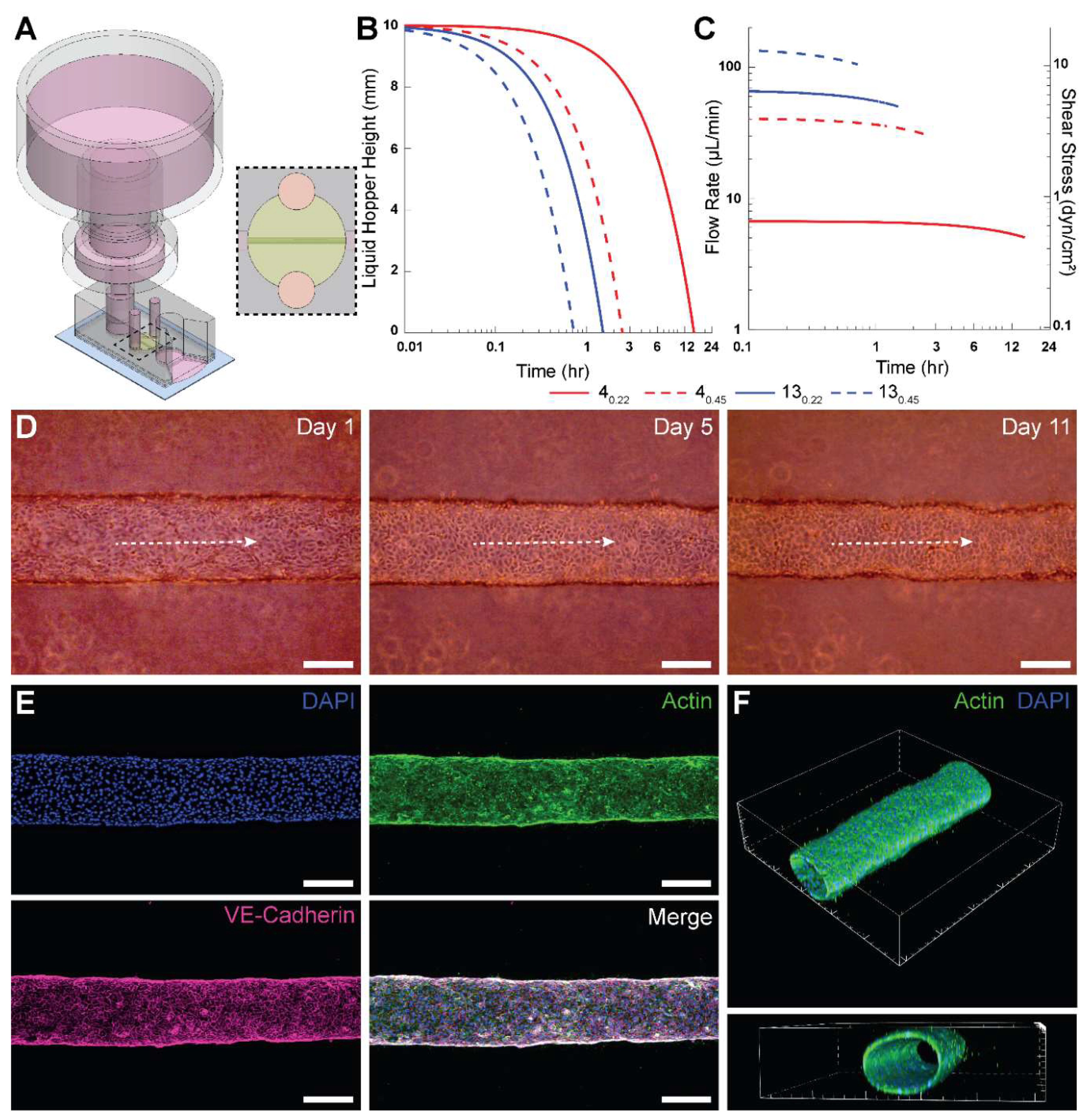 Preprints 148536 g003