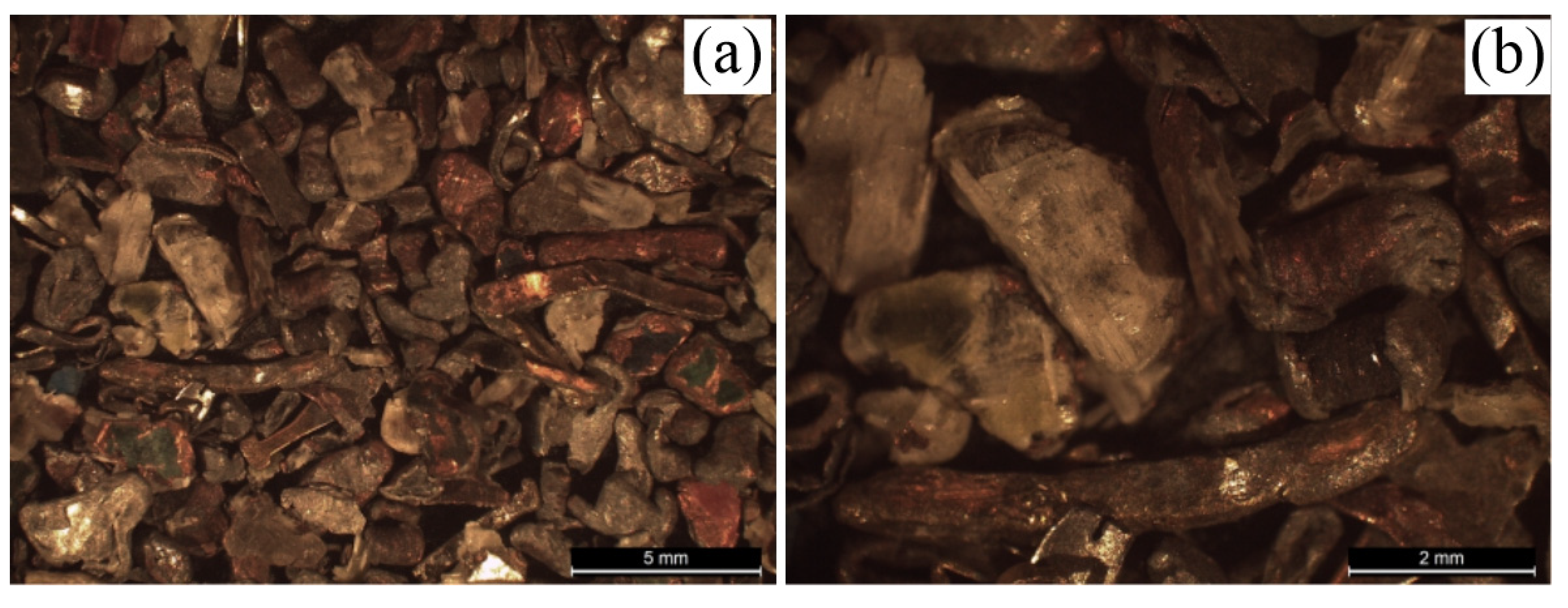 Preprints 77942 g010