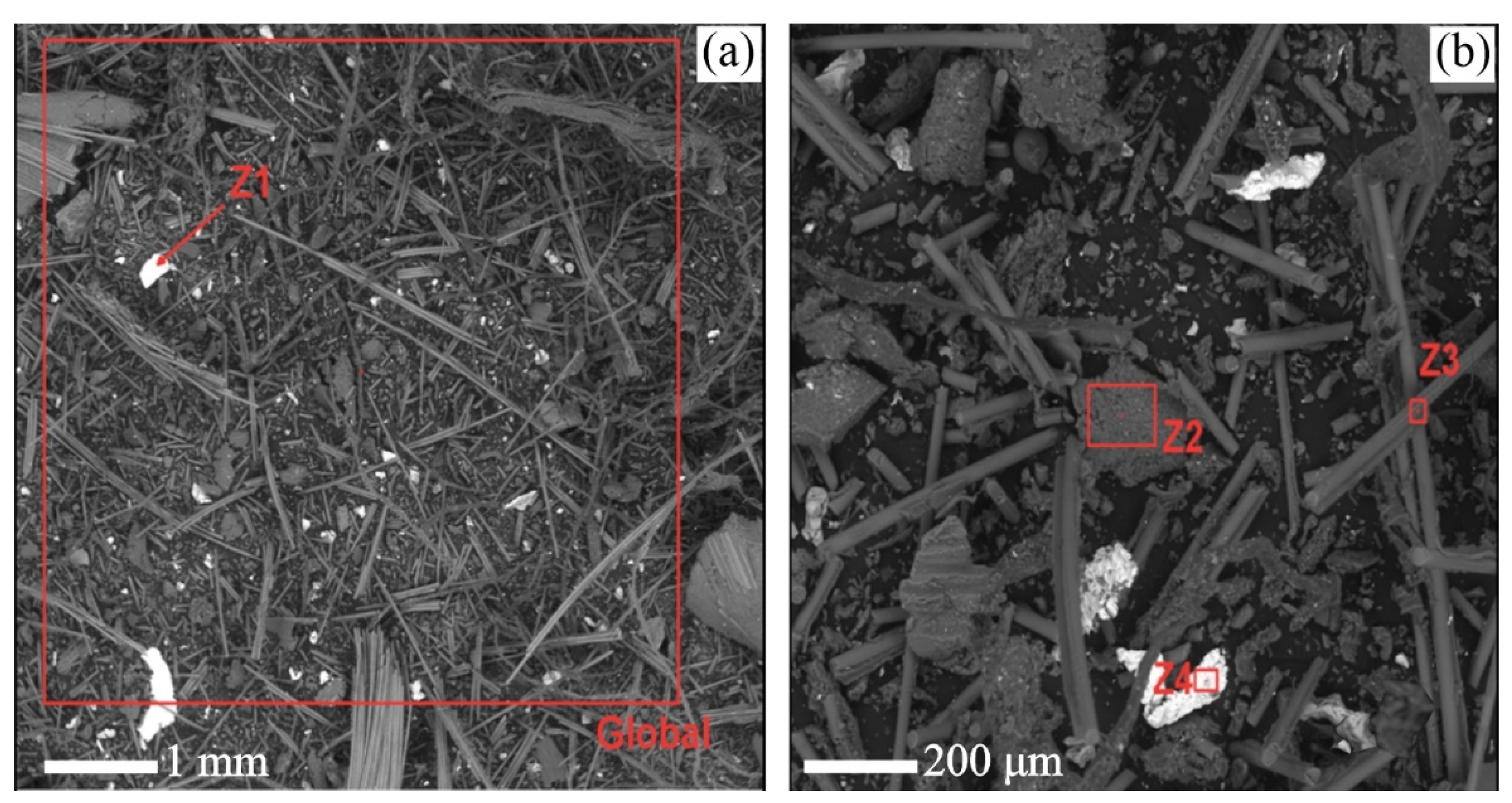 Preprints 77942 g011