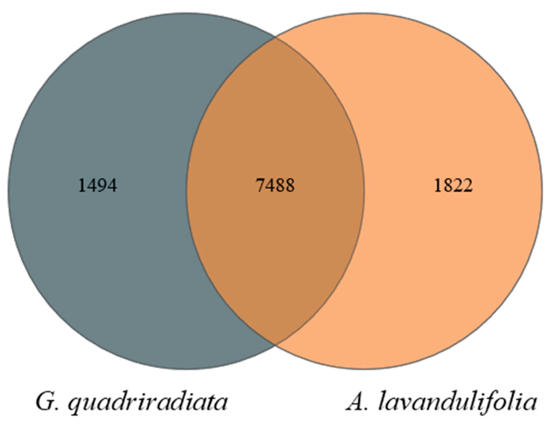 Preprints 138236 g001