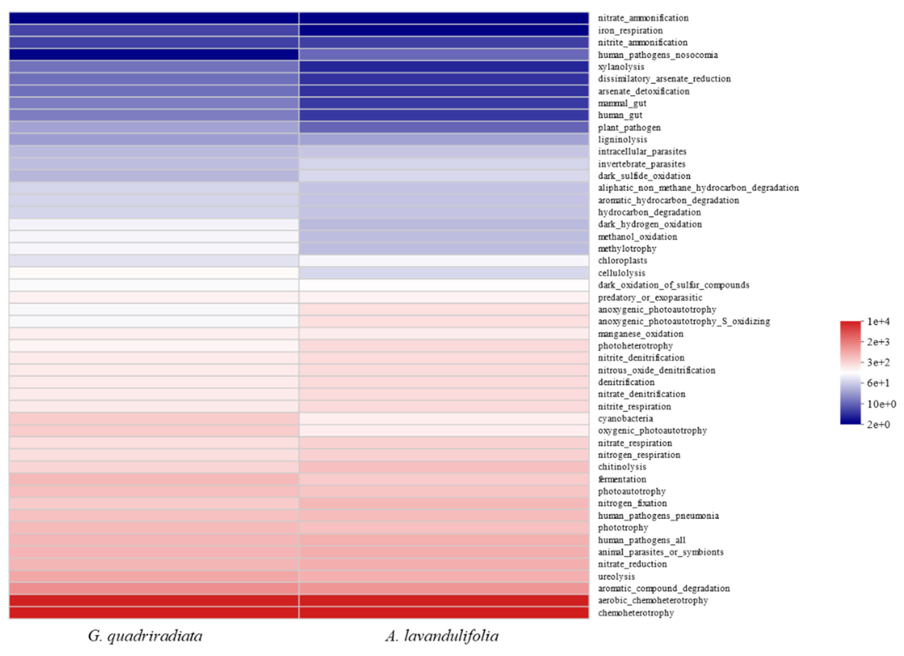 Preprints 138236 g006