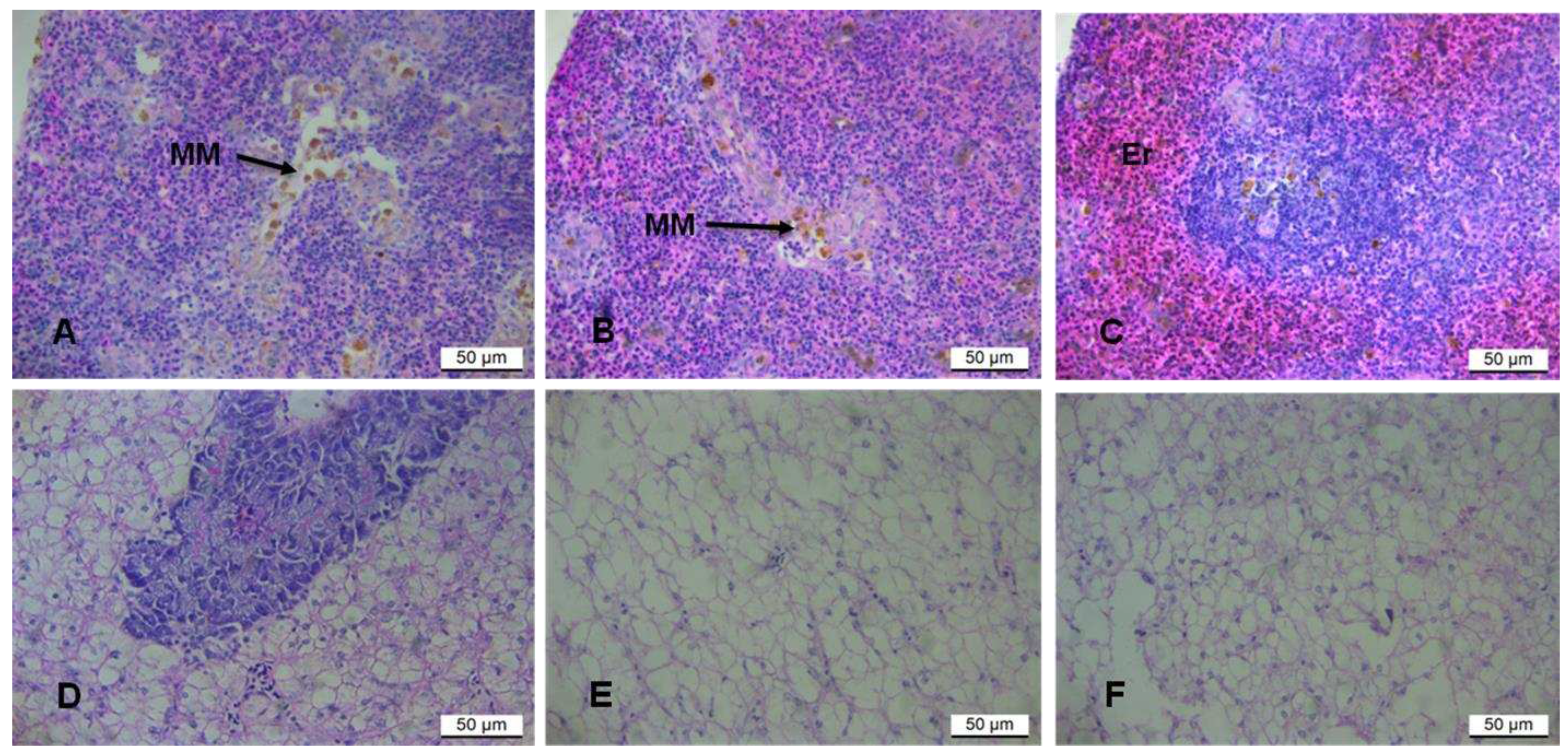 Preprints 87468 g003