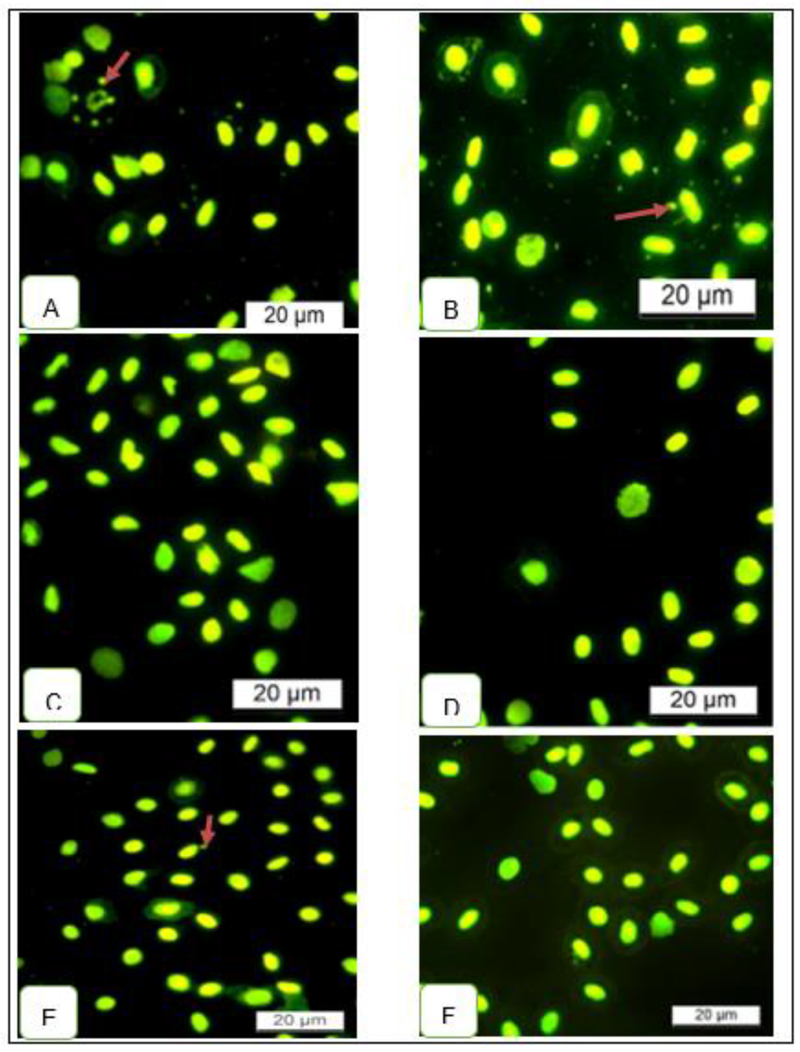 Preprints 87468 g004
