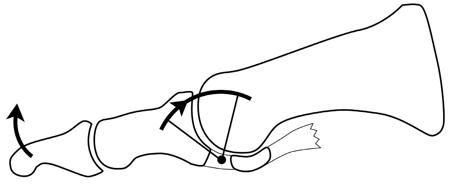 Preprints 149460 g001