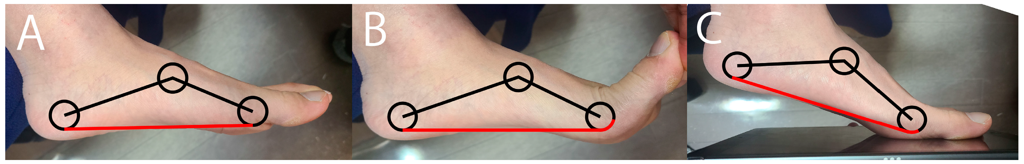 Preprints 149460 g002