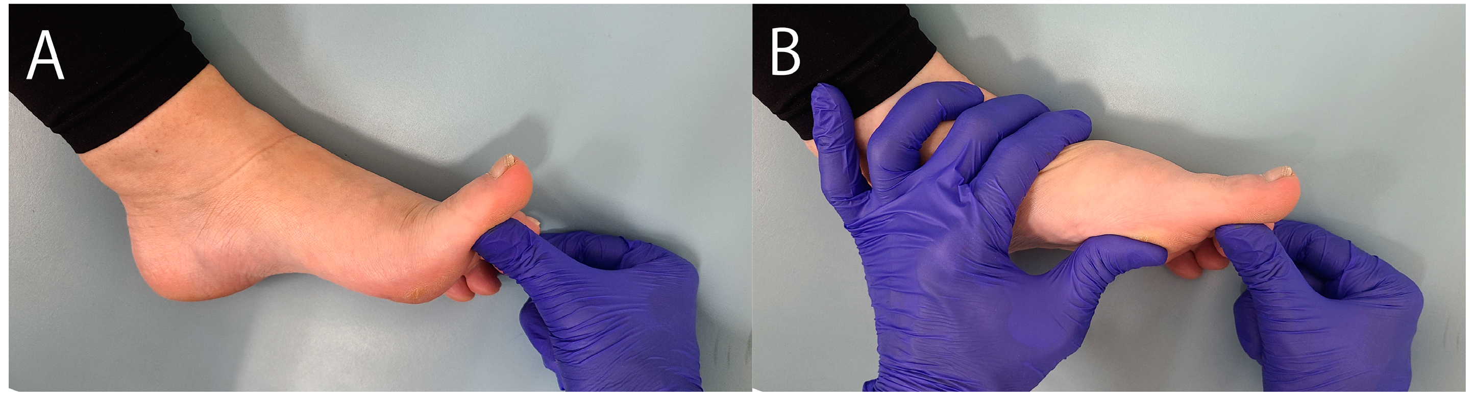 Preprints 149460 g003