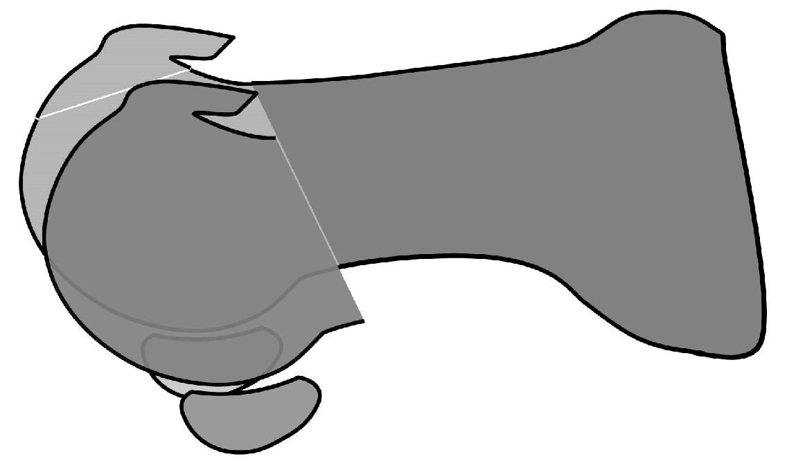 Preprints 149460 g005