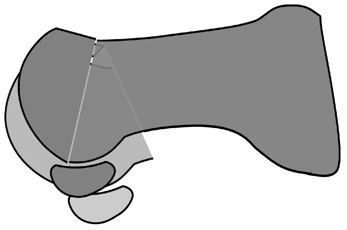 Preprints 149460 g006