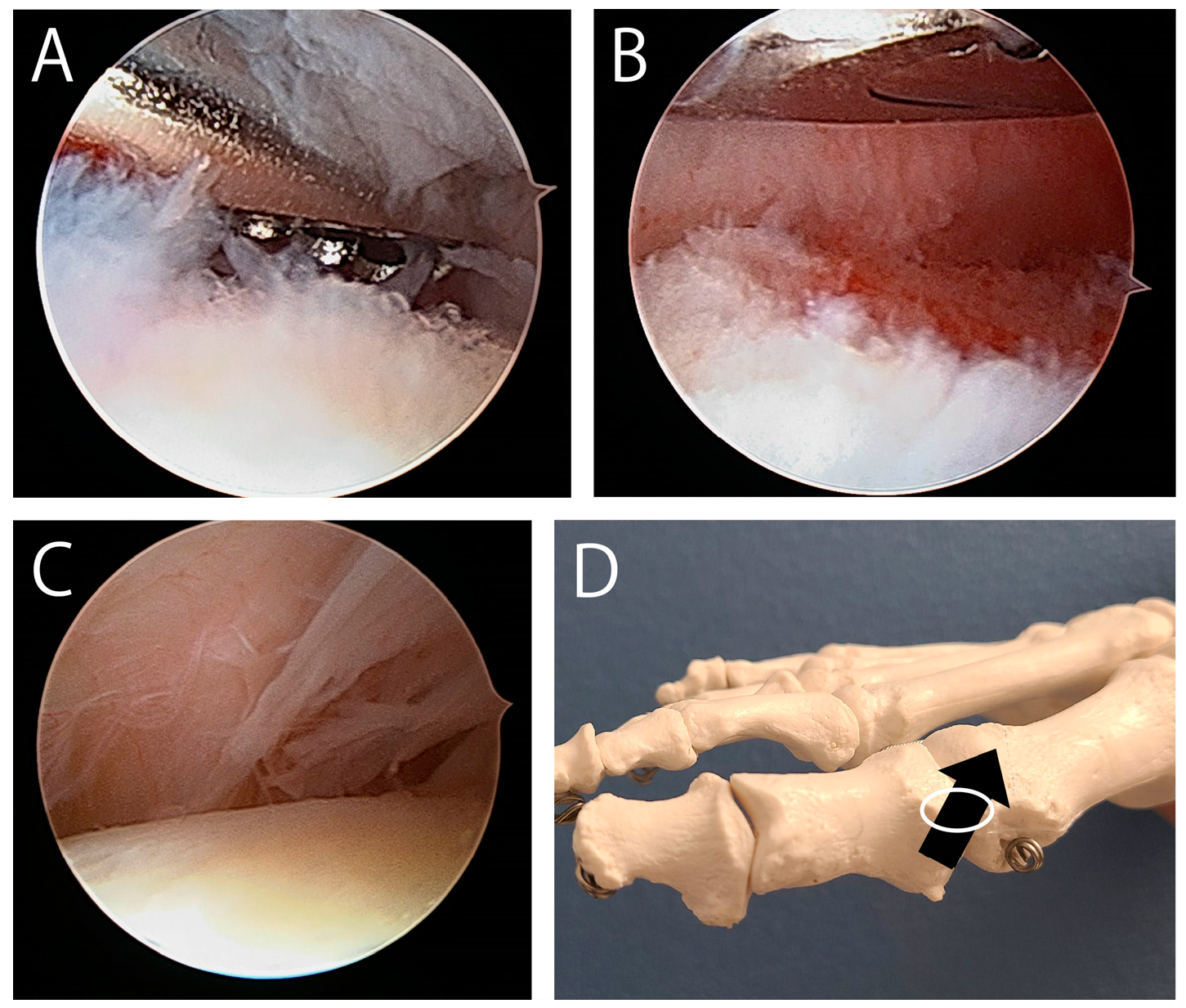 Preprints 149460 g007