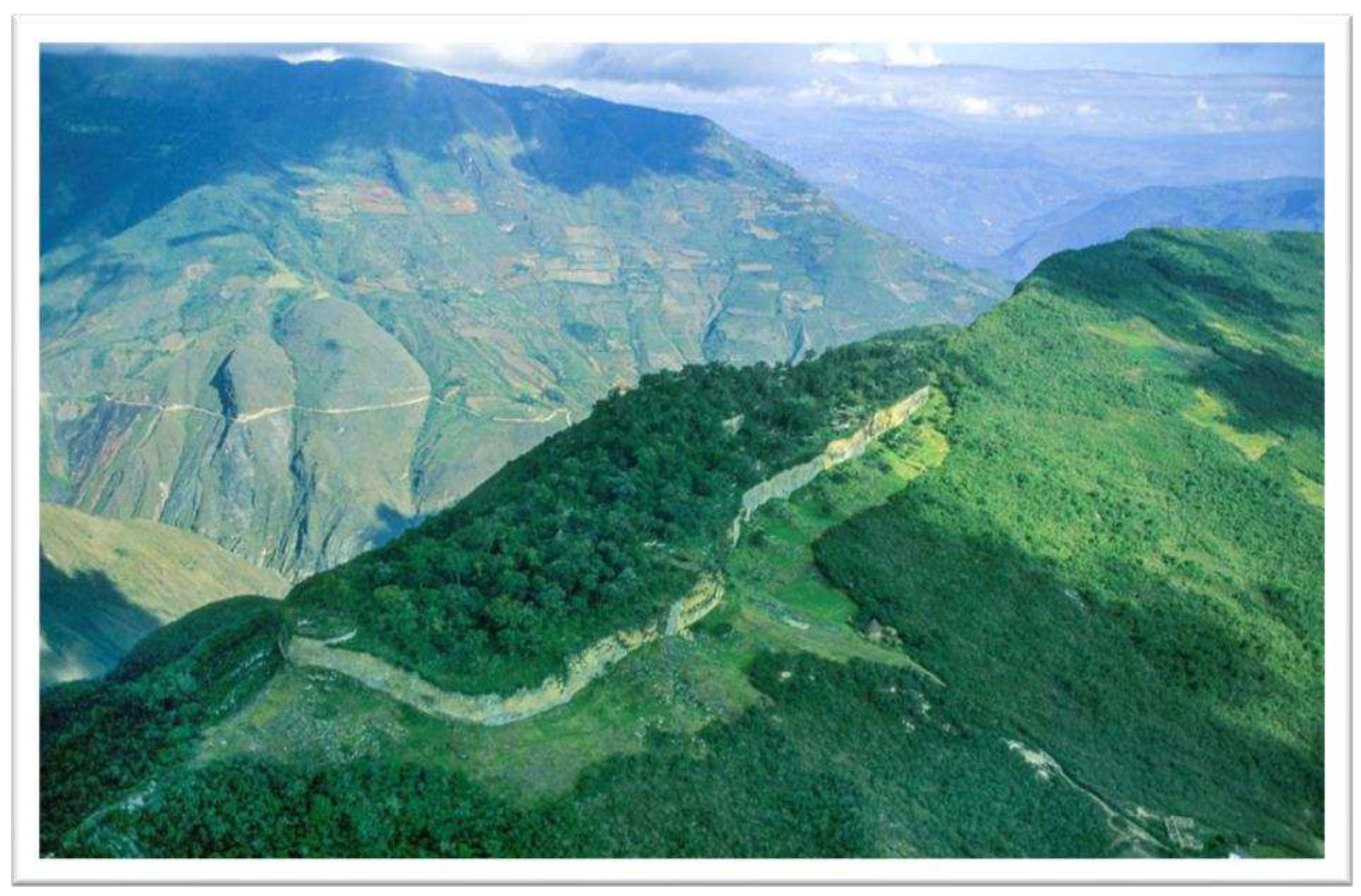 Preprints 95689 g001