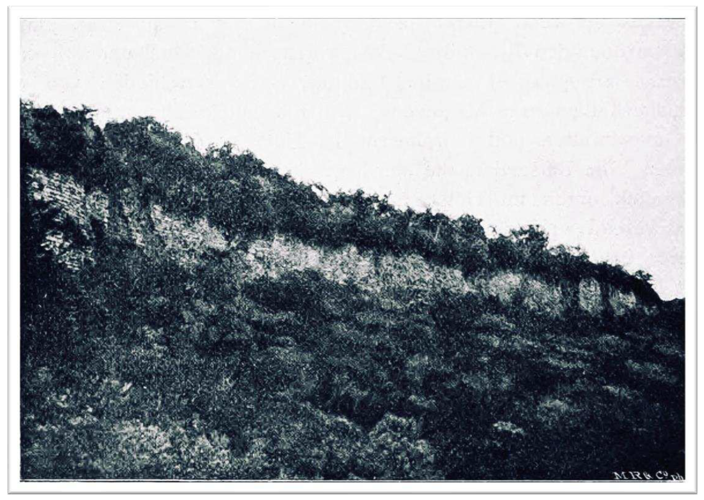 Preprints 95689 g003