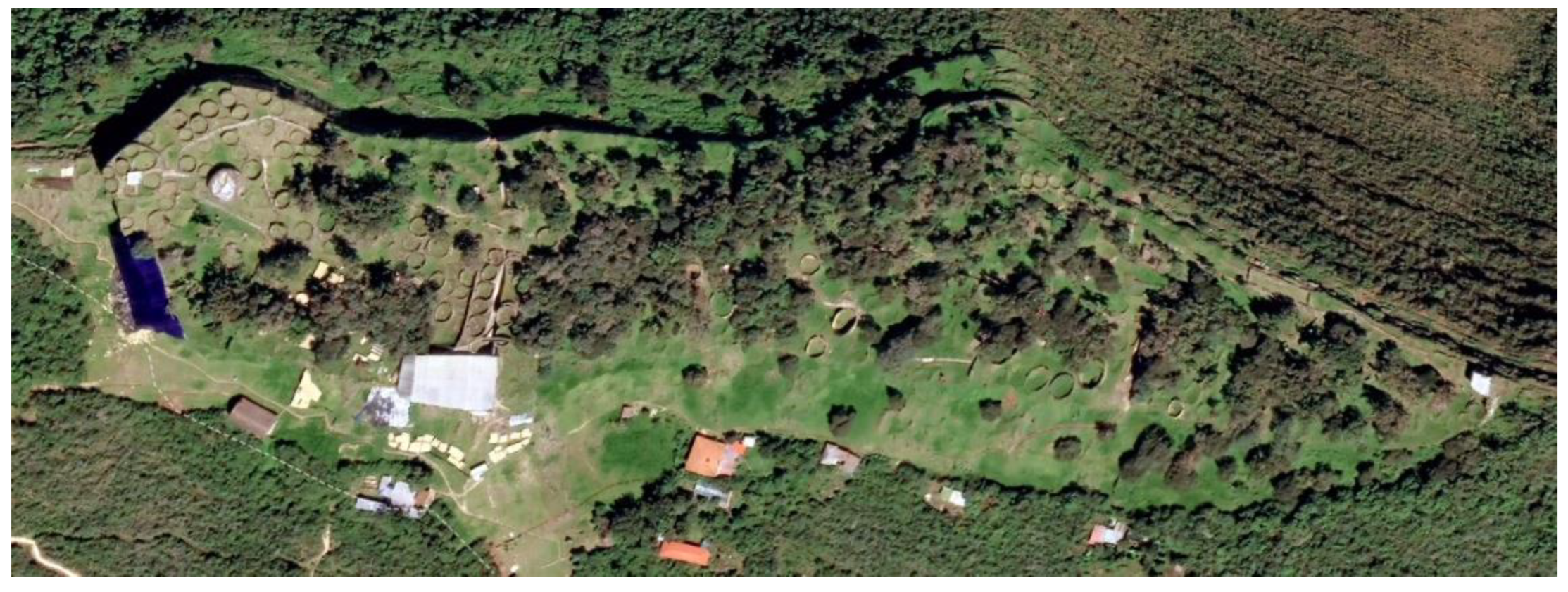 Preprints 95689 g008