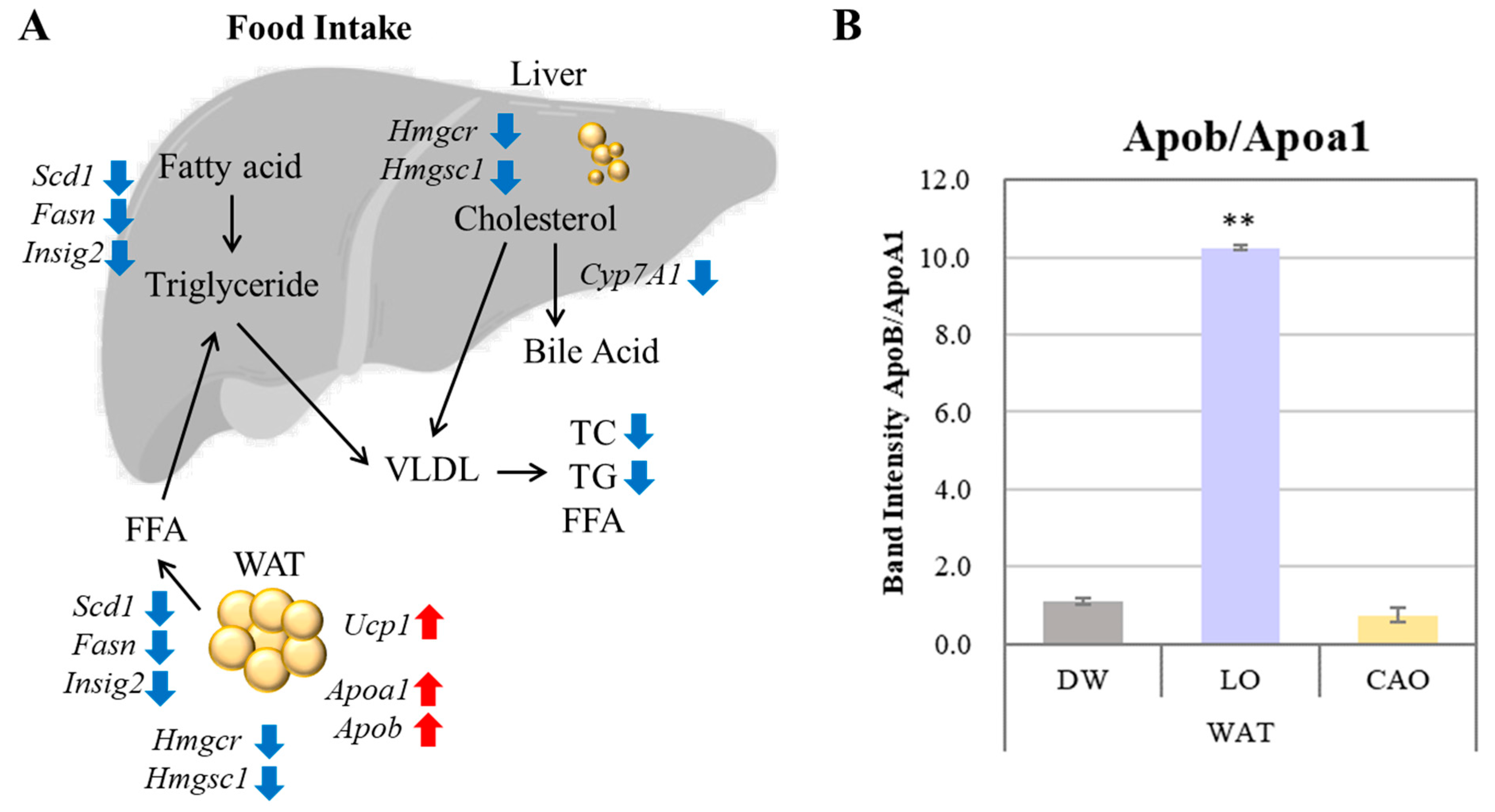 Preprints 159428 g005