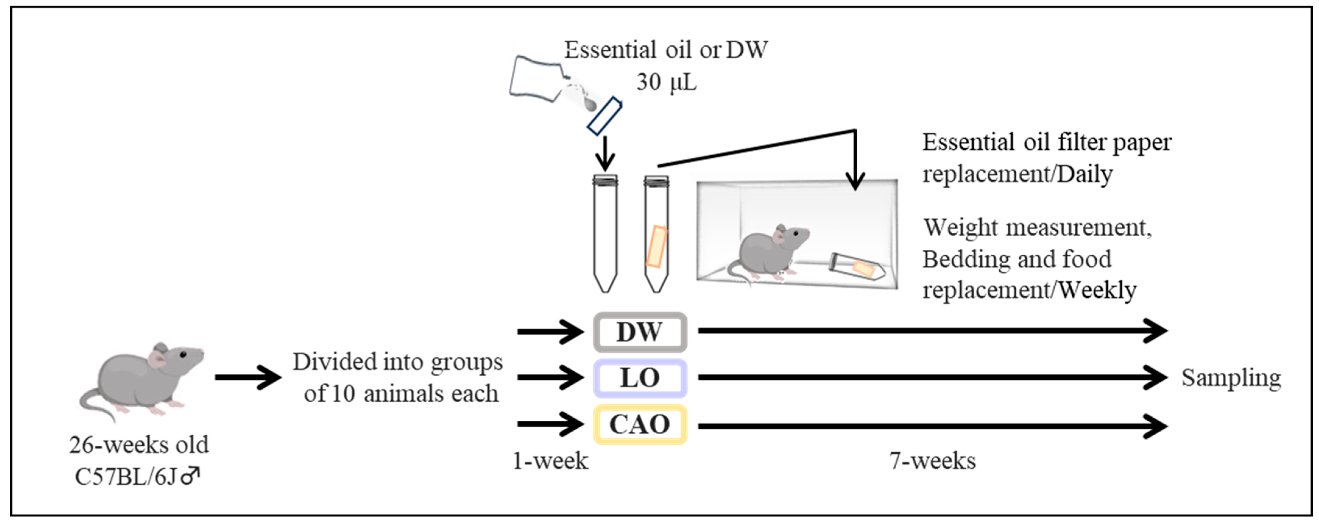 Preprints 159428 g006
