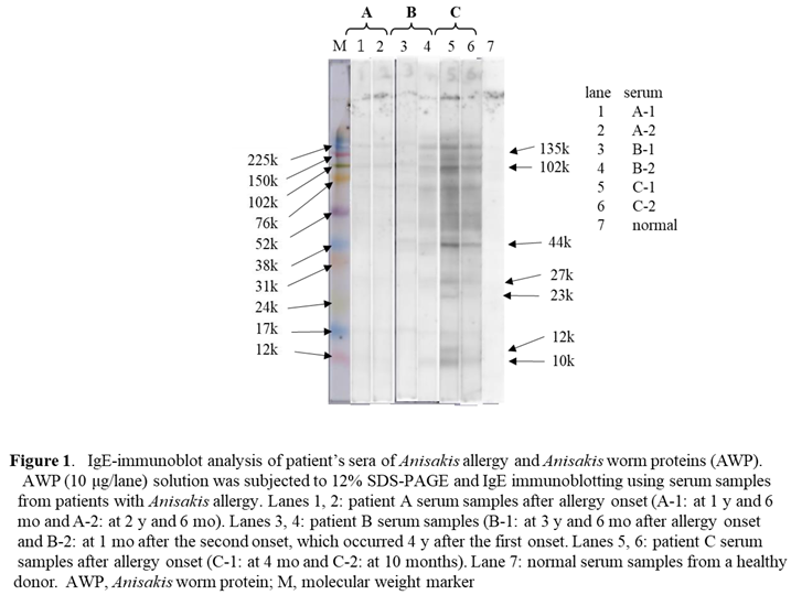 Preprints 144814 i001