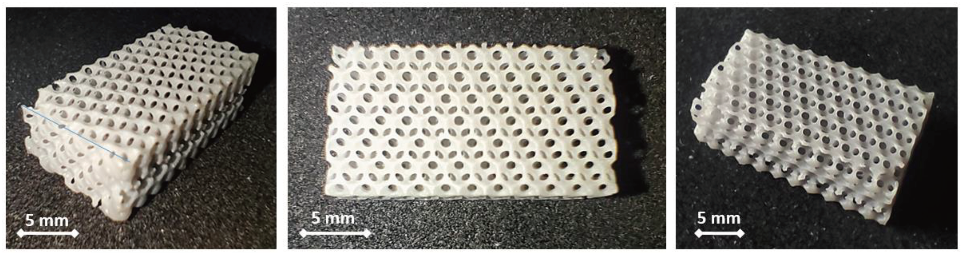 Preprints 100888 g001