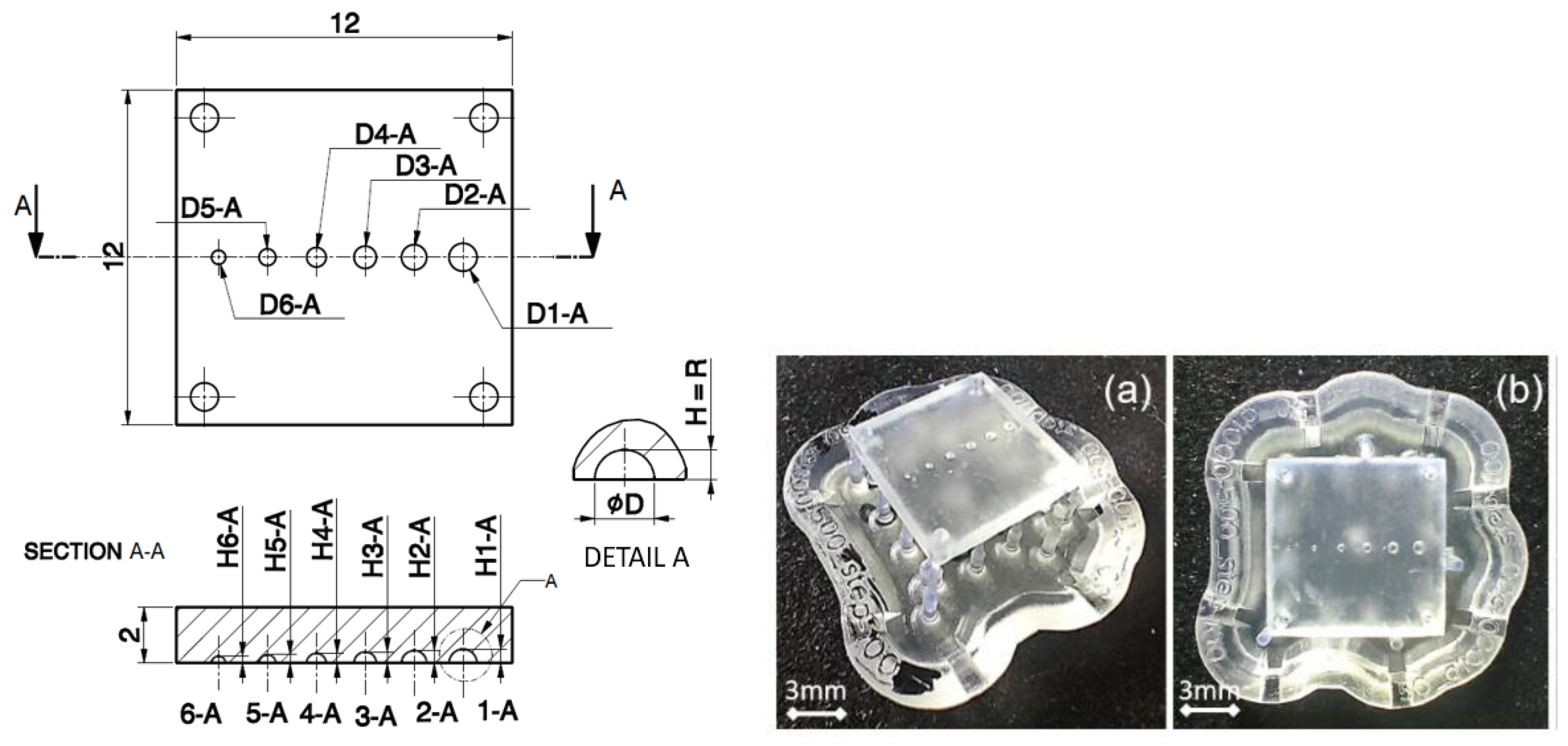Preprints 100888 g002