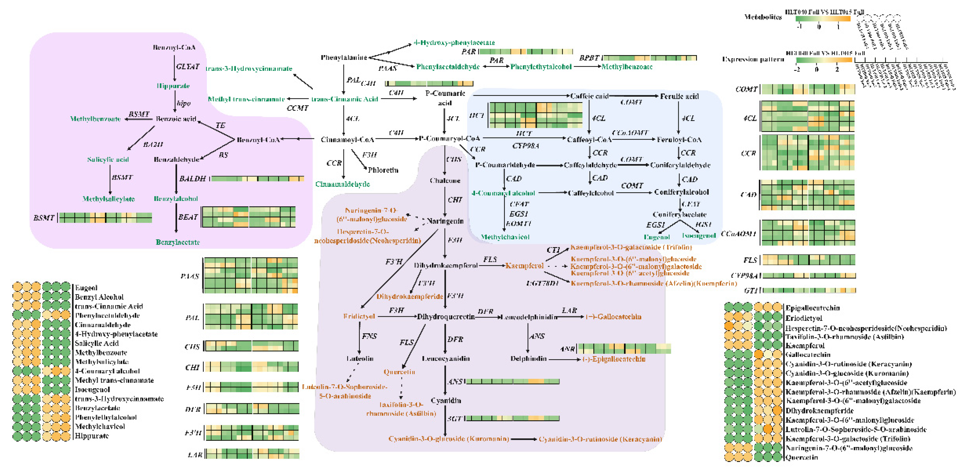 Preprints 144748 g004