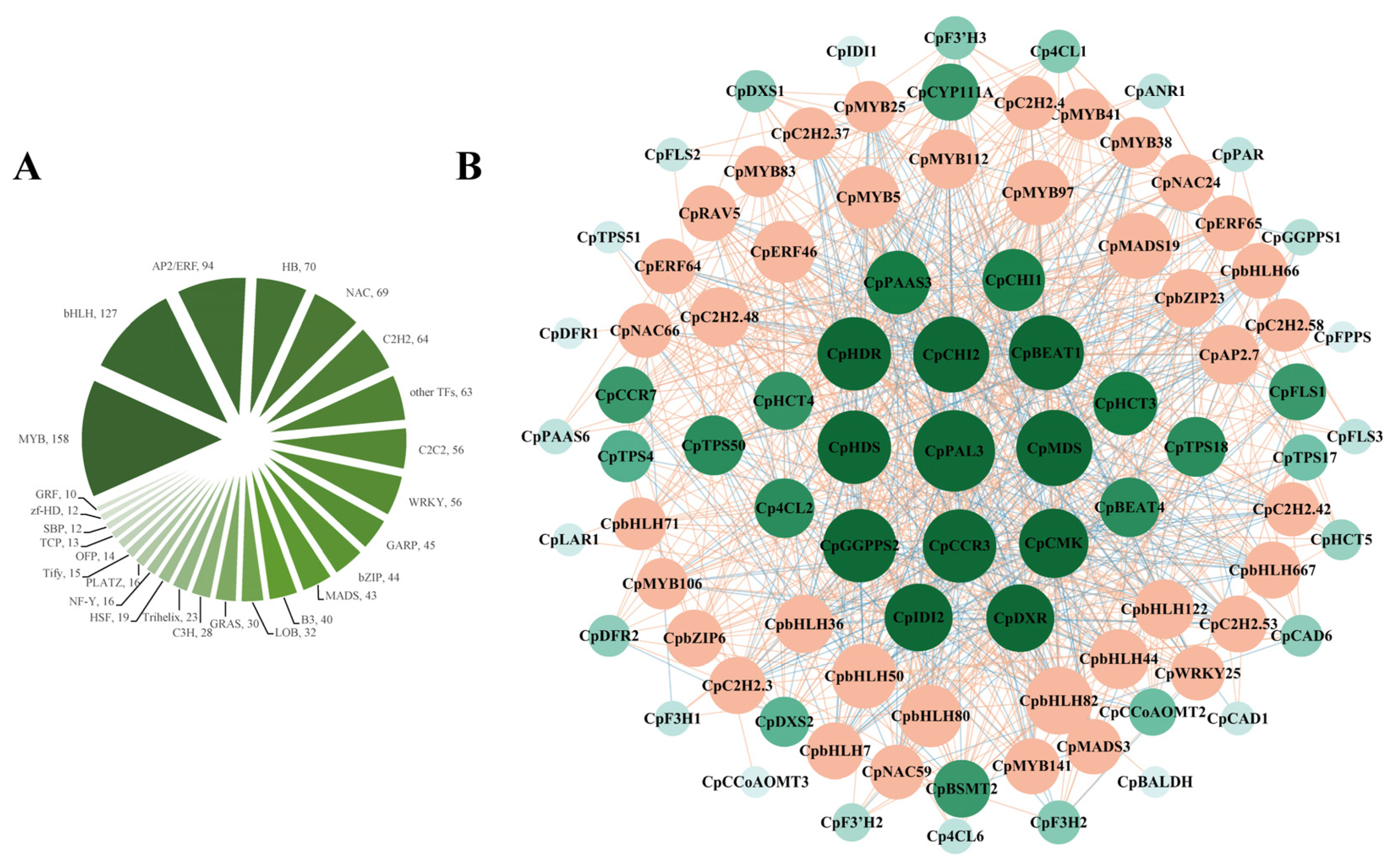 Preprints 144748 g006