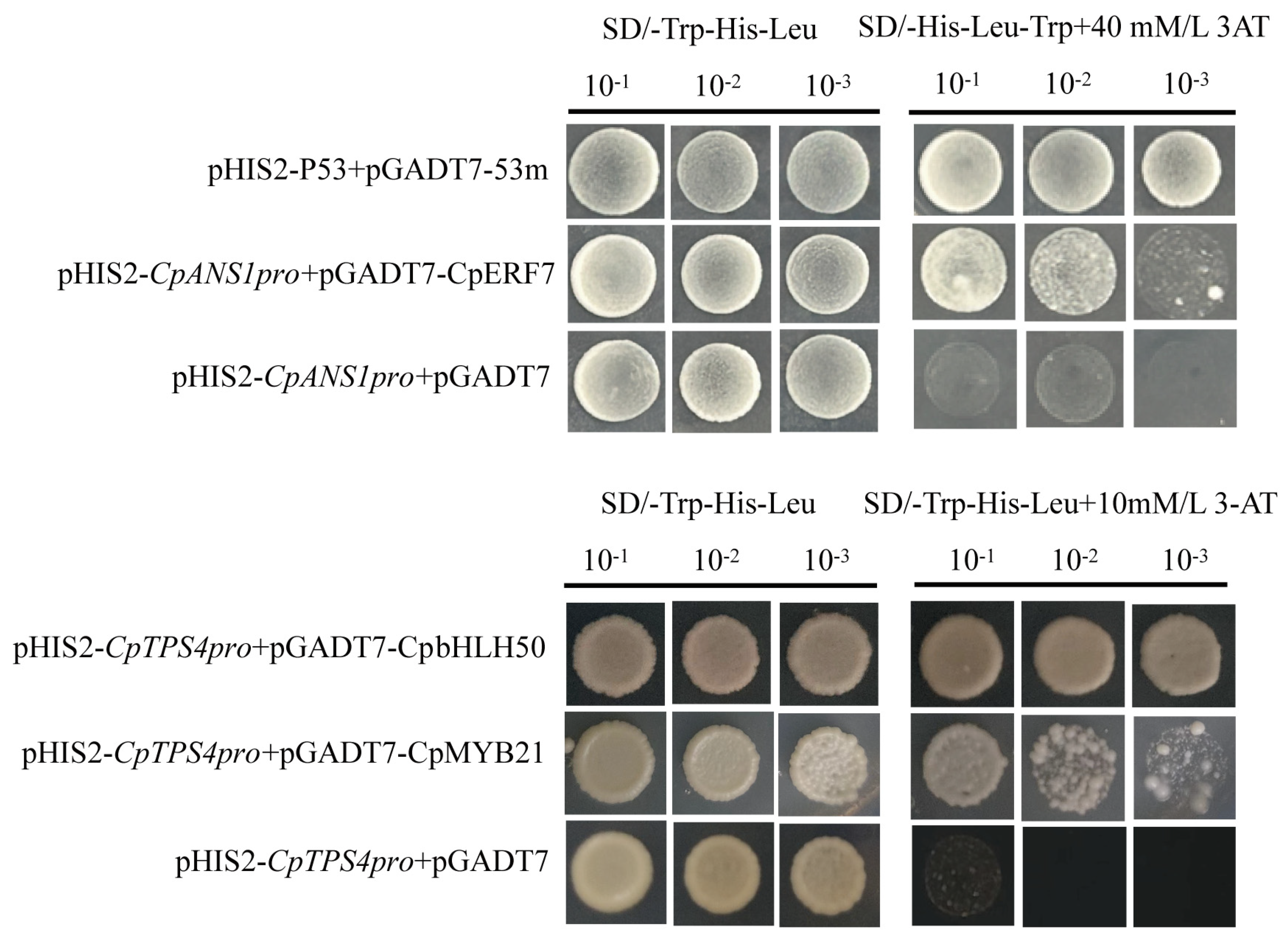 Preprints 144748 g008