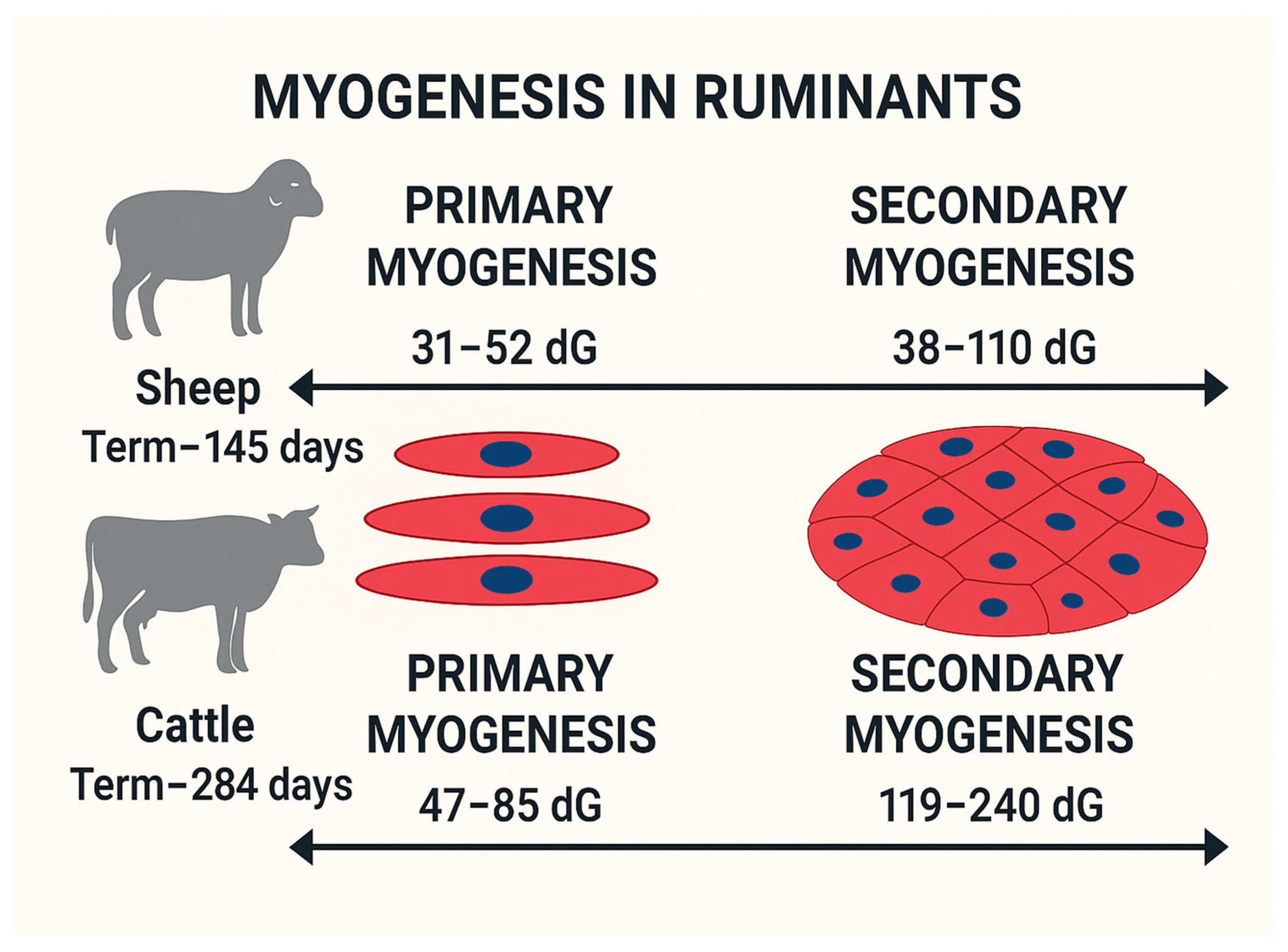 Preprints 159898 g001