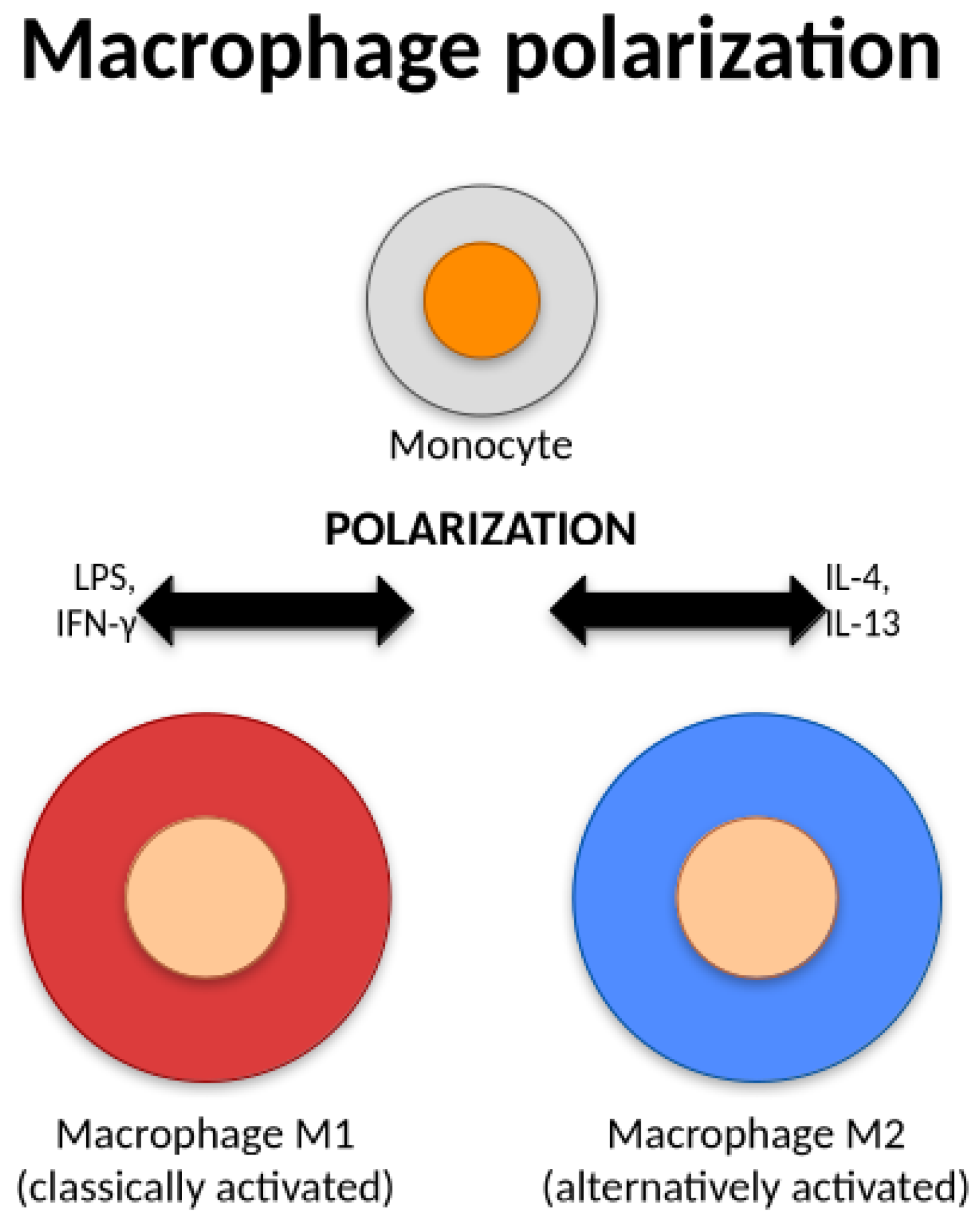 Preprints 202801 g003 Preprints 202801 g003