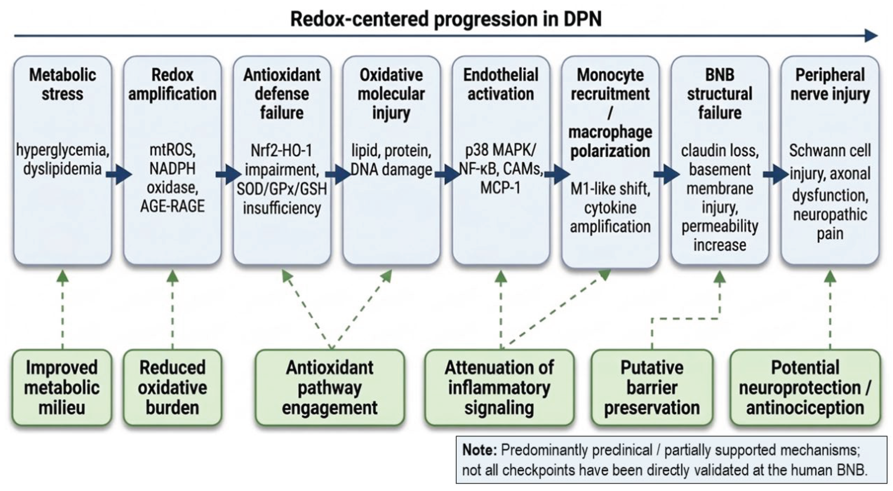 Preprints 202801 g004 Preprints 202801 g004
