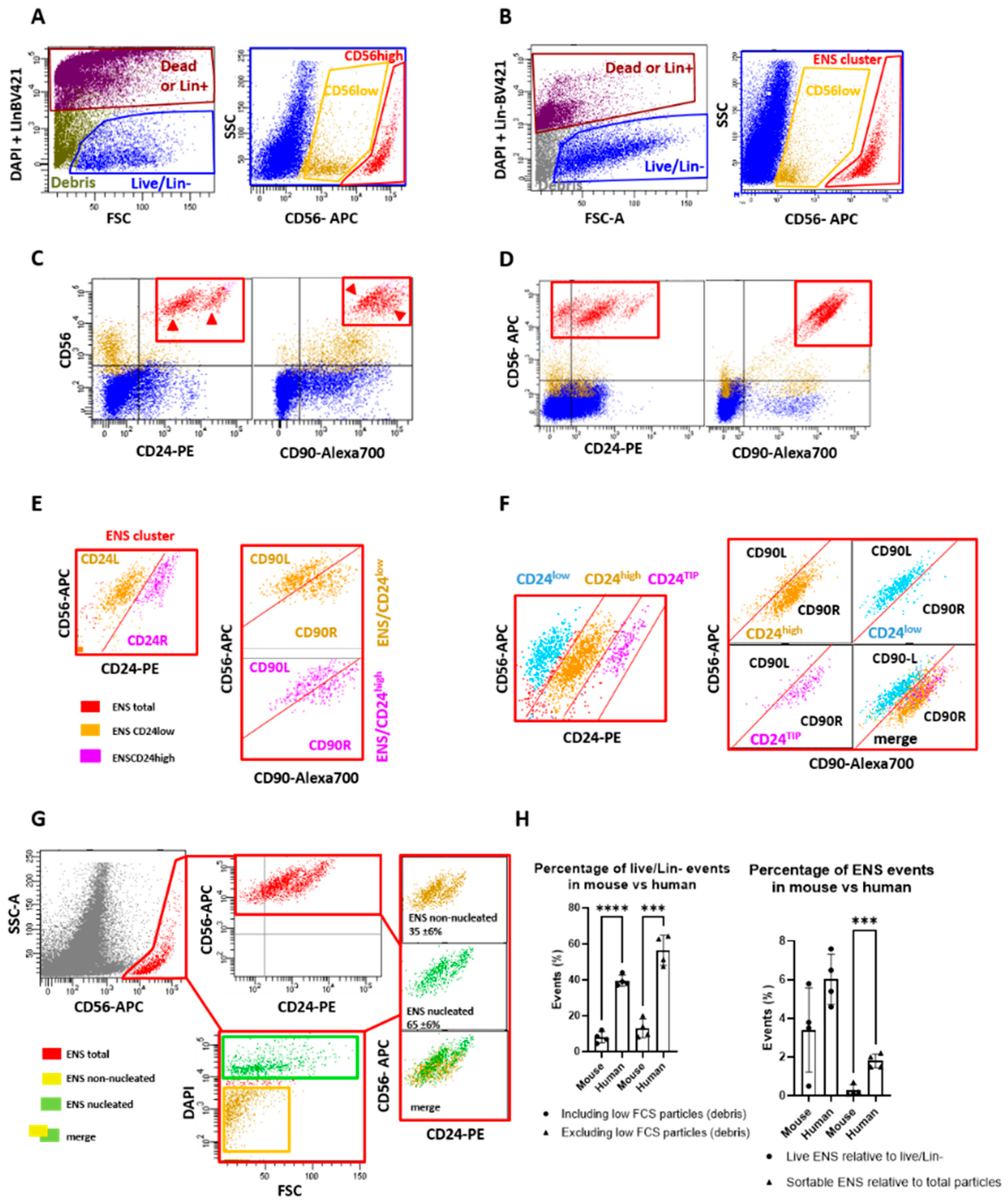 Preprints 151879 g001