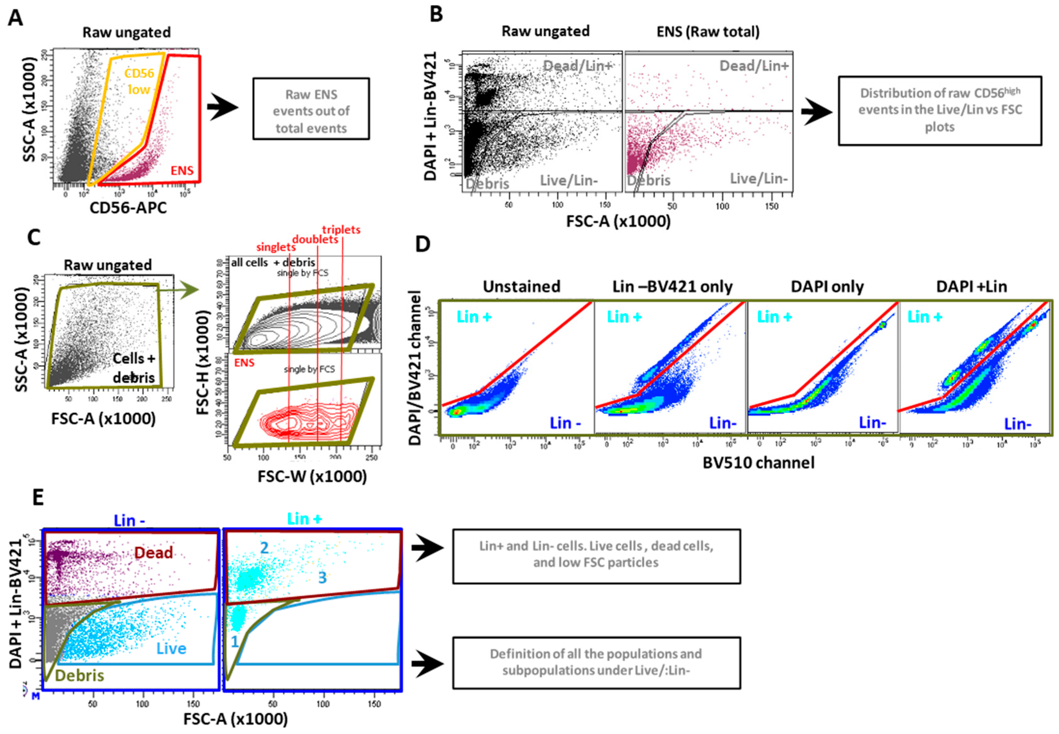Preprints 151879 g002